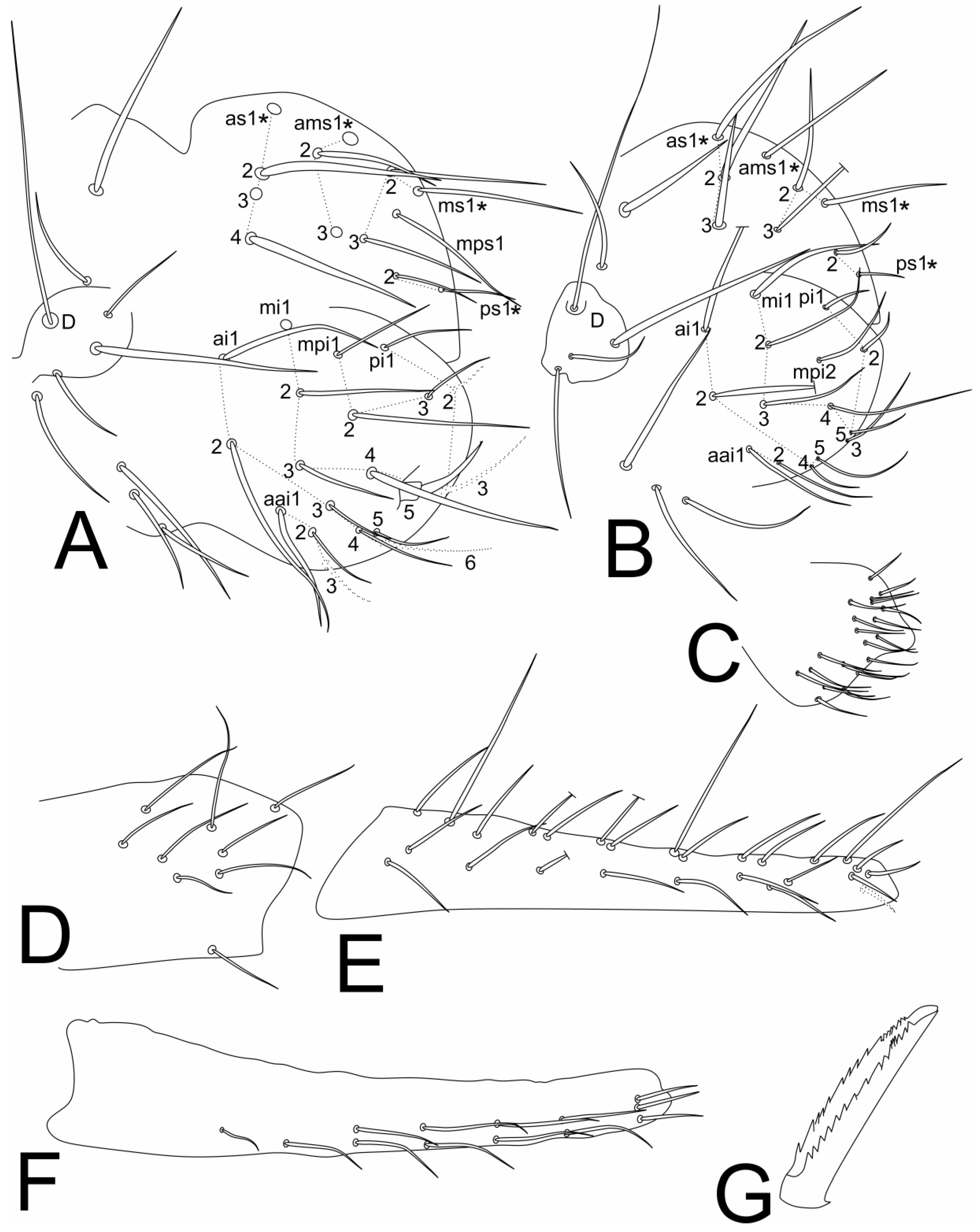 Insects 11 00519 g004 Insects 11 00519 g004