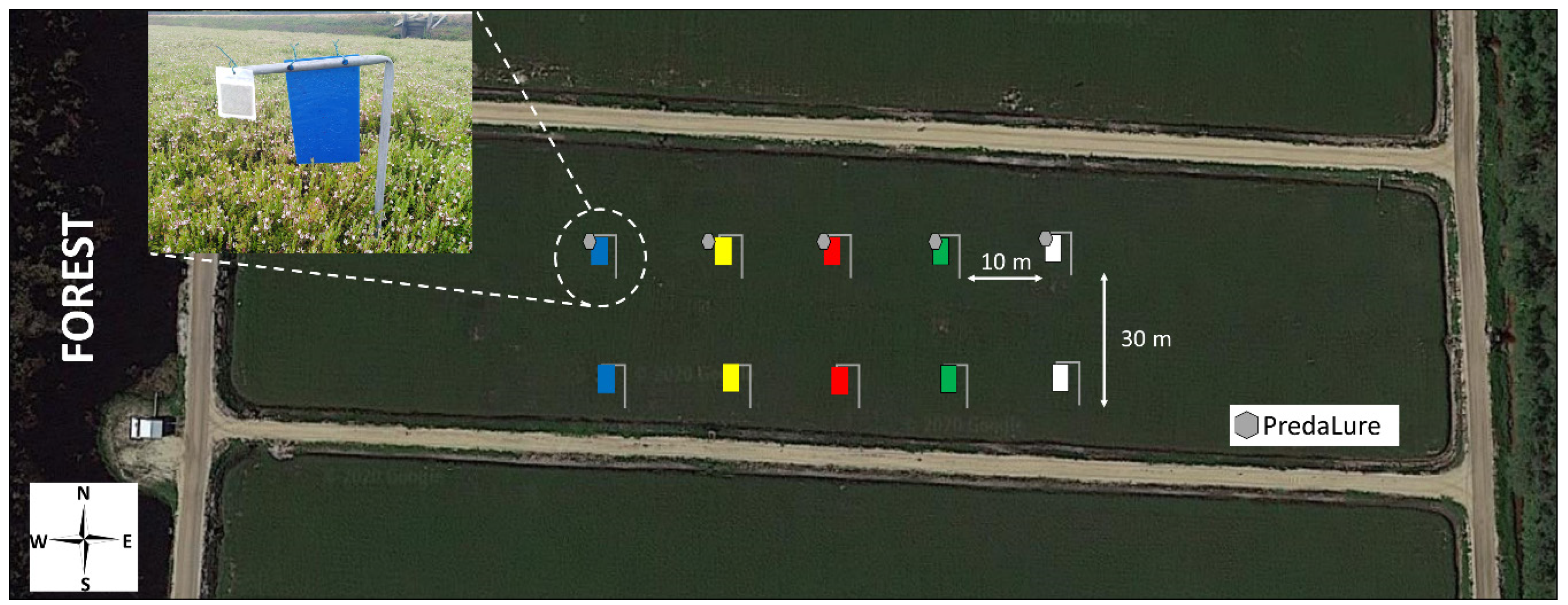 Insects 11 00524 g001 Insects 11 00524 g001