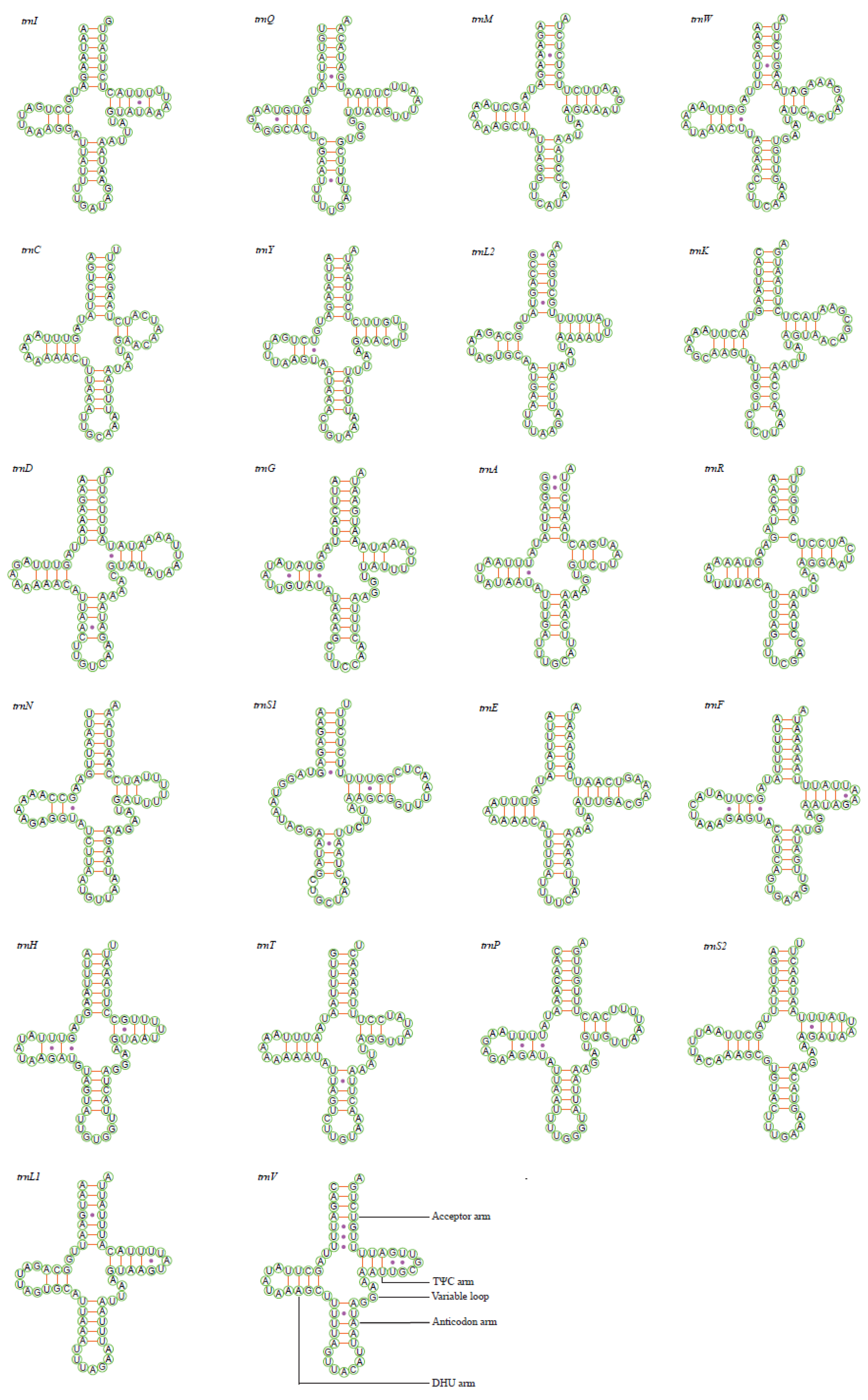 Insects 11 00534 g003