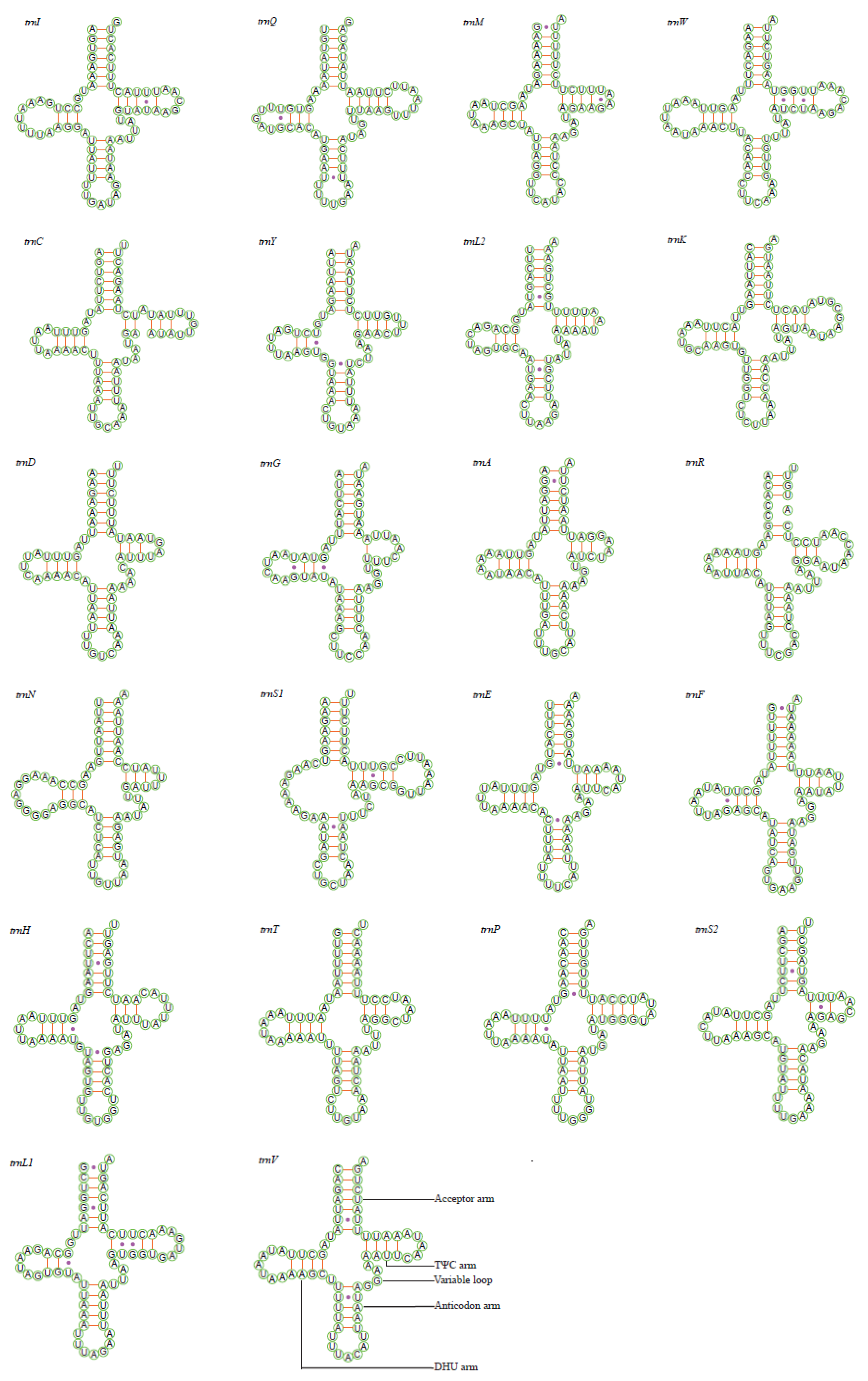 Insects 11 00534 g004