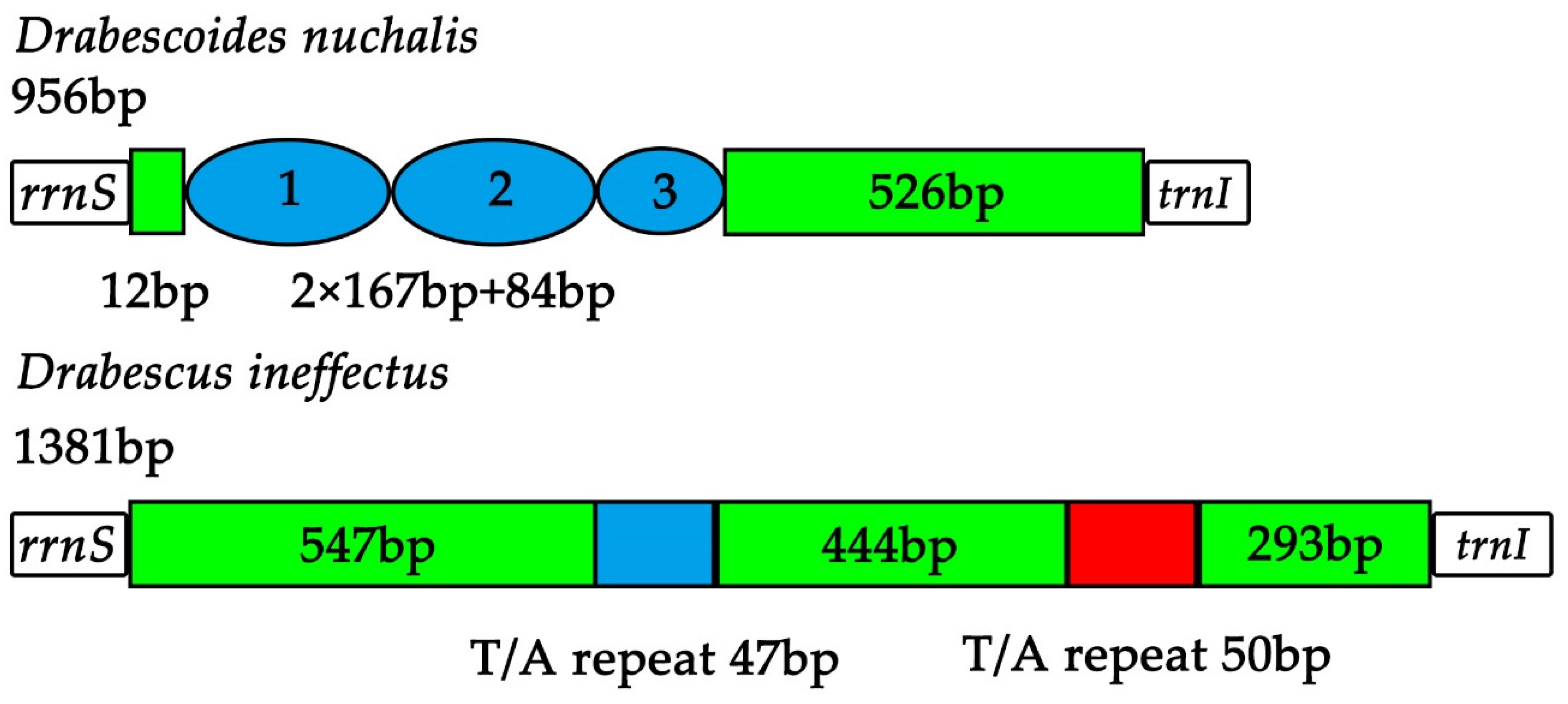 Insects 11 00534 g005