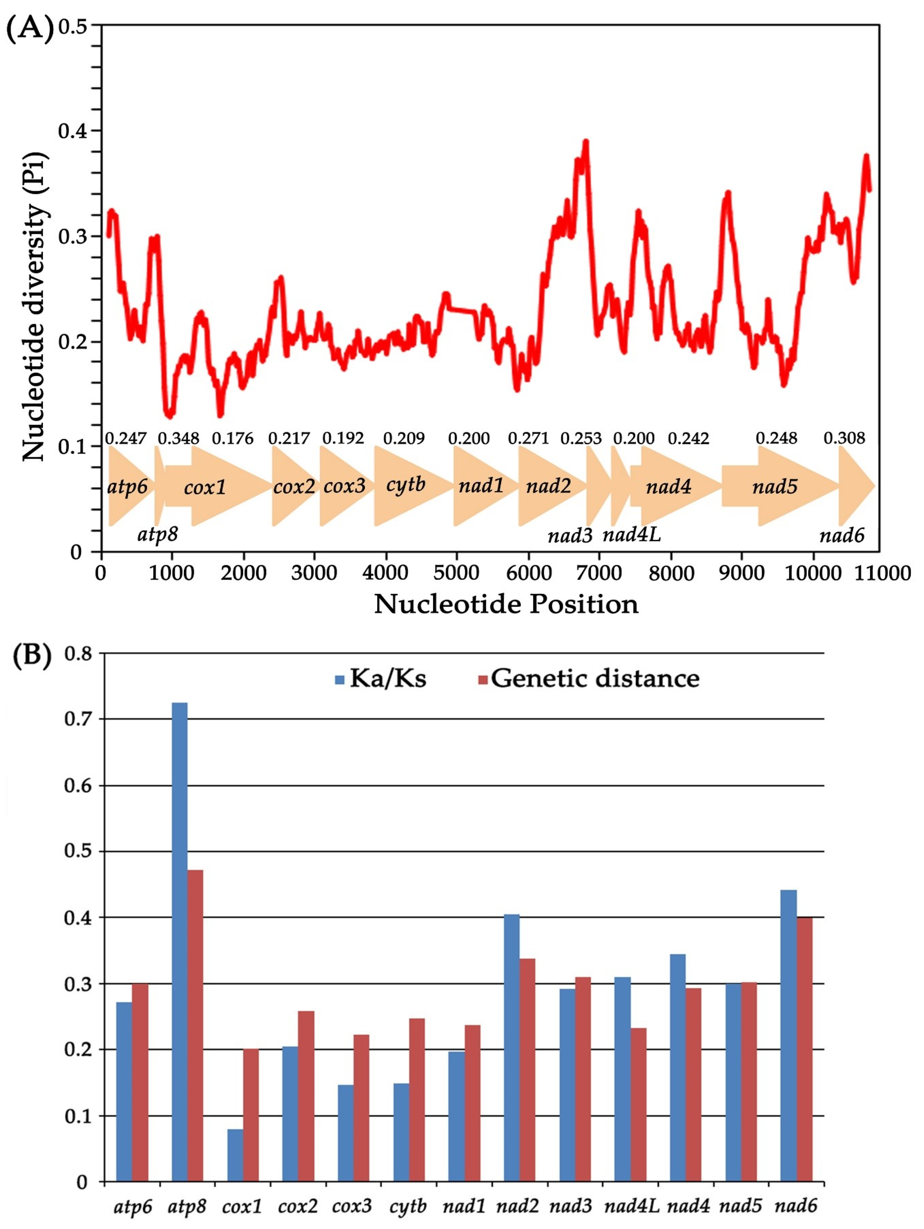 Insects 11 00534 g006