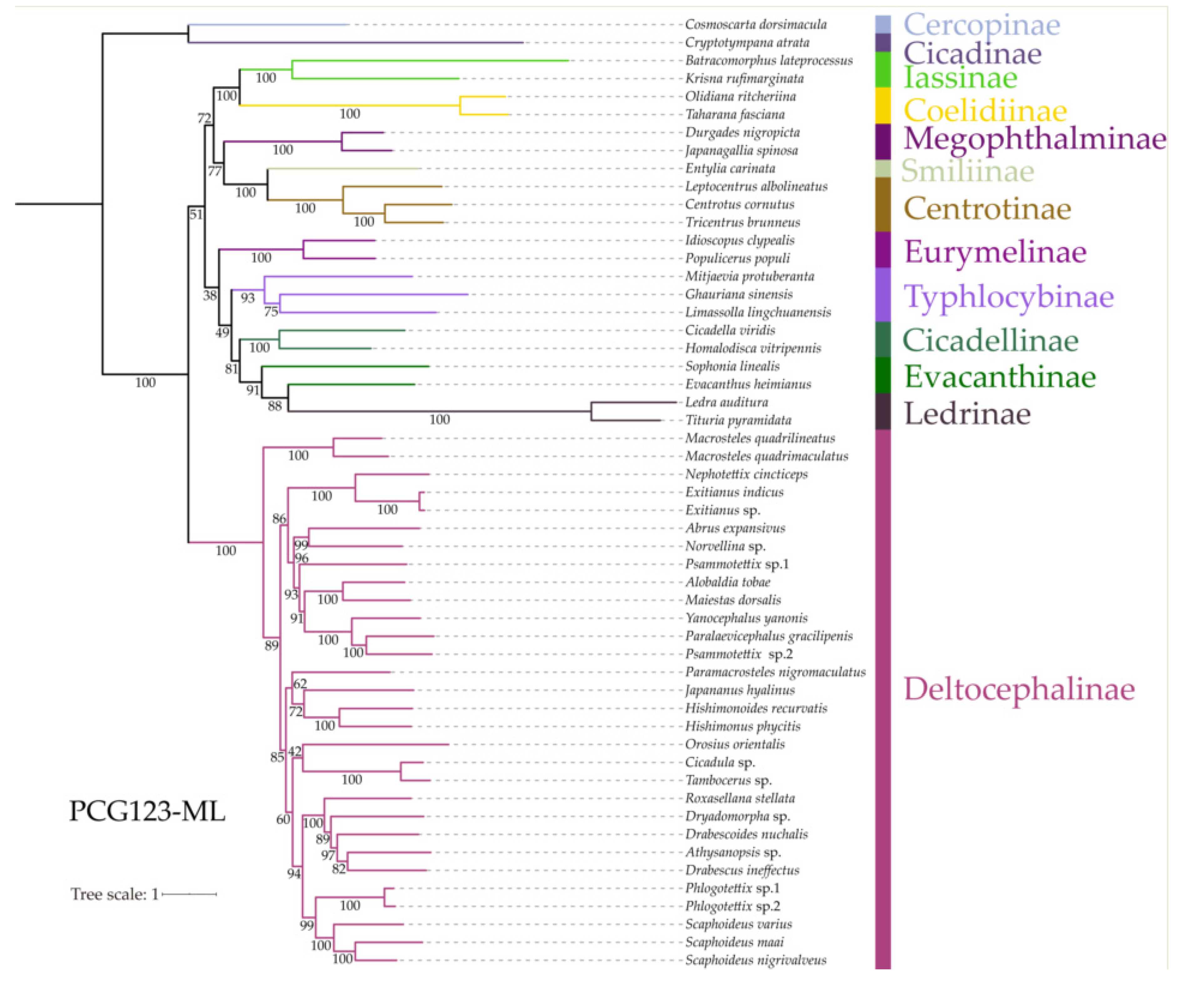 Insects 11 00534 g007