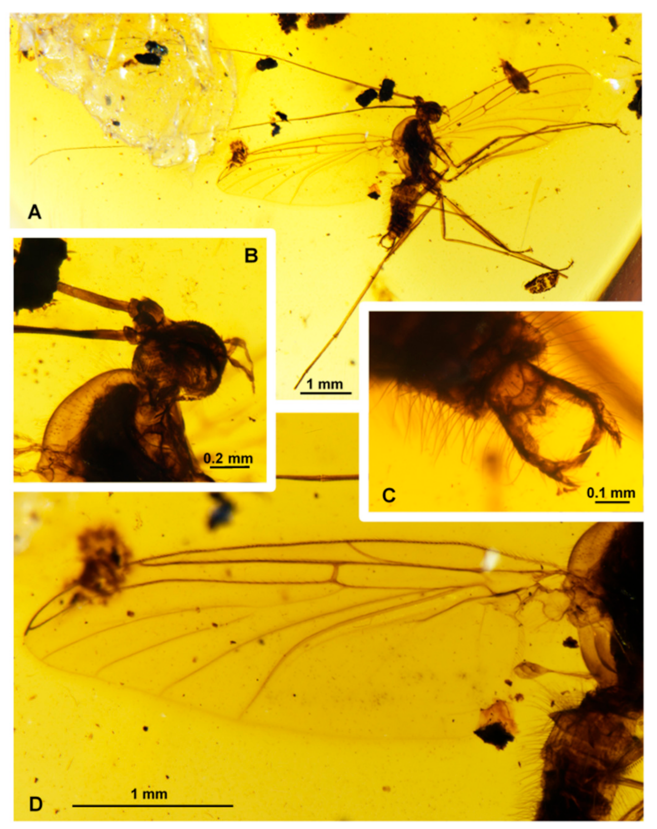 Insects 11 00552 g001 Insects 11 00552 g001