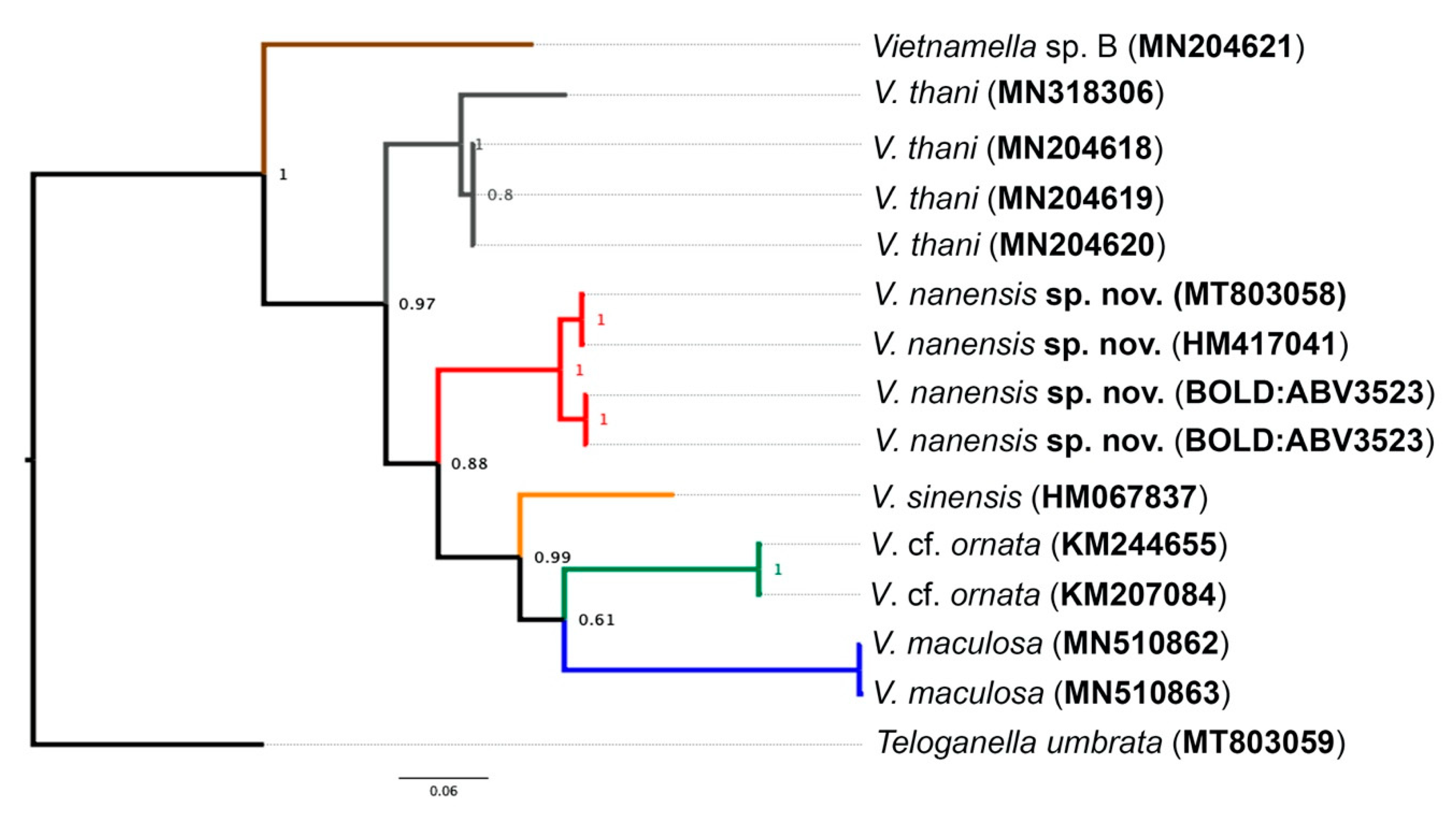 Insects 11 00554 g009 Insects 11 00554 g009