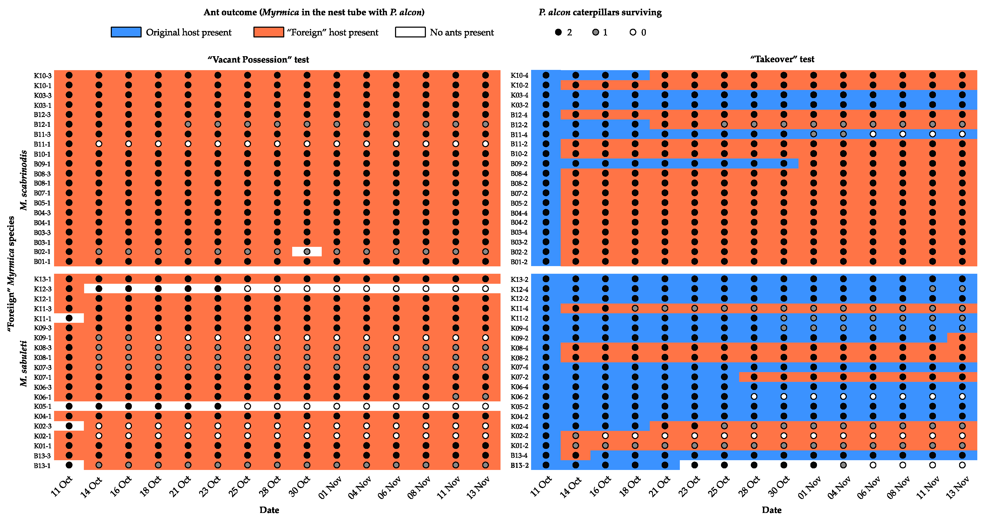 Insects 11 00556 g003