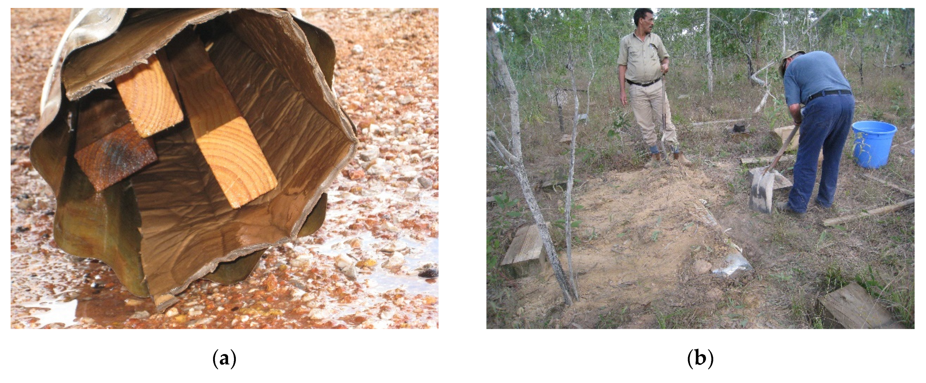 Insects 11 00568 g003