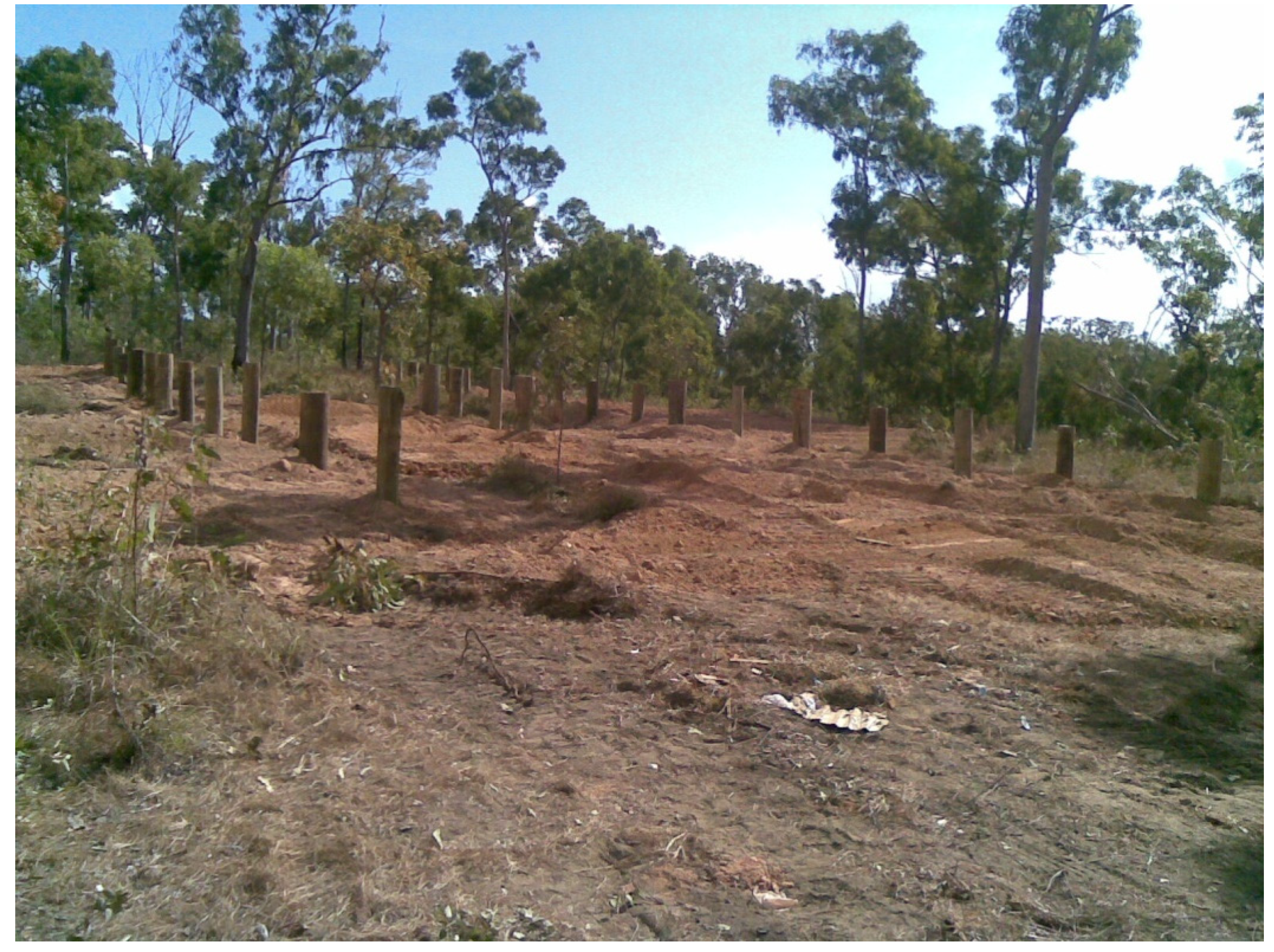 Insects 11 00568 g004