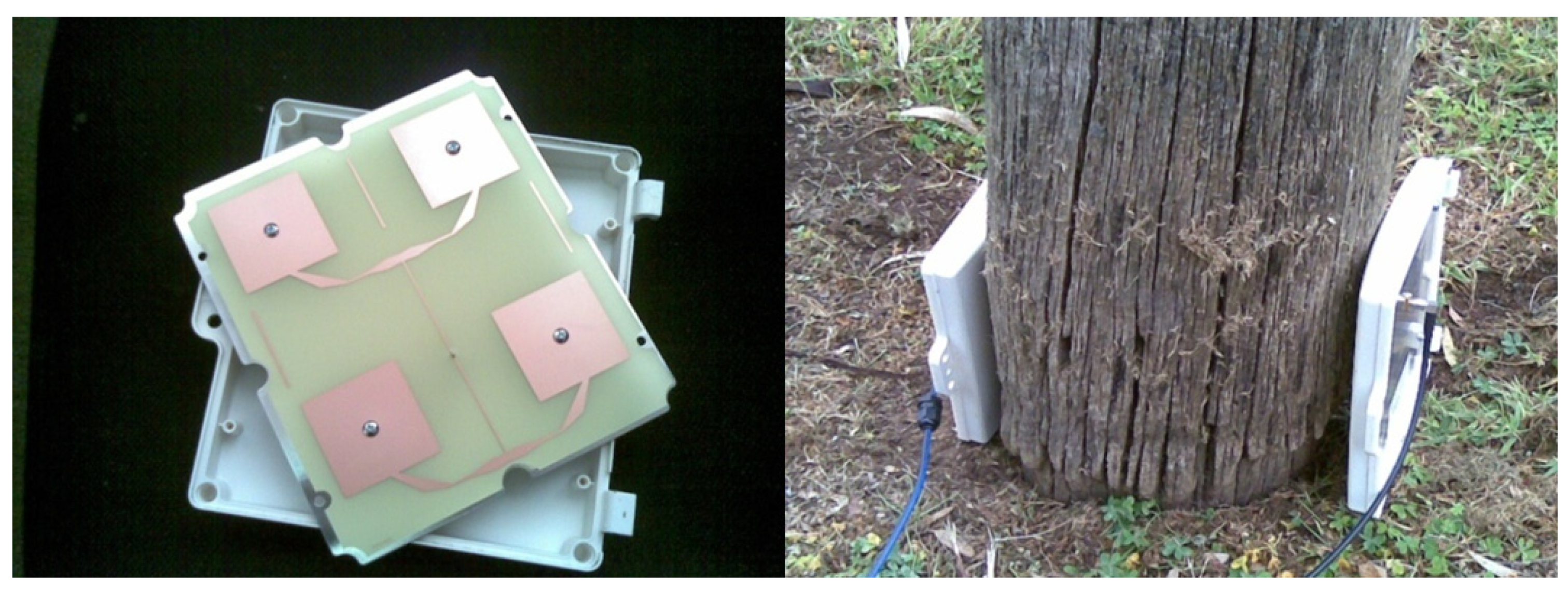 Insects 11 00568 g006