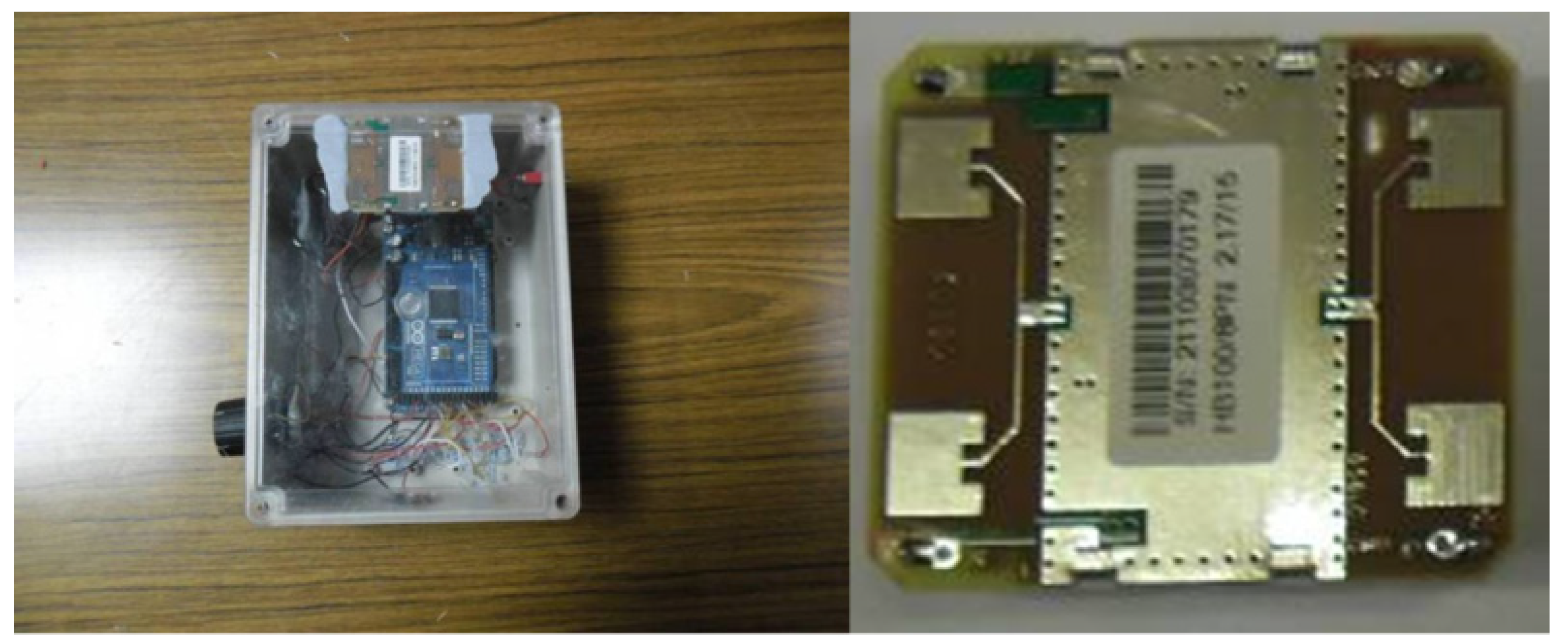 Insects 11 00568 g008