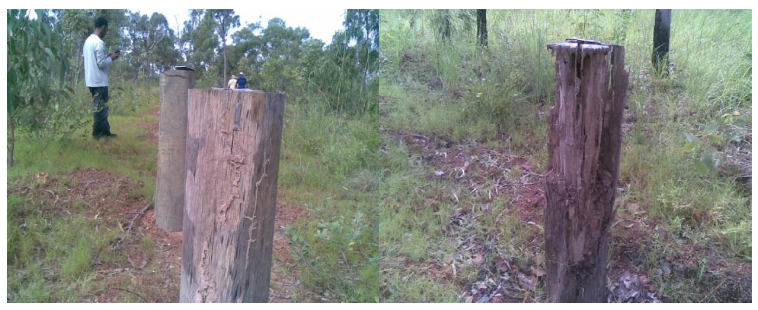 Insects 11 00568 g009