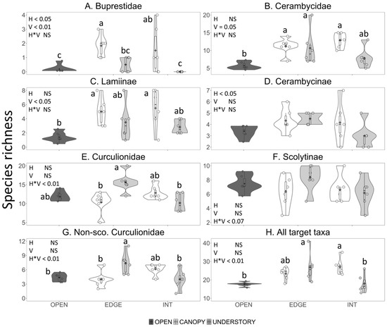 Insects Free Full Text Impact Of Horizontal Edge Interior And Vertical Canopy Understory Gradients On The Abundance And Diversity Of Bark And Woodboring Beetles In Survey Traps Html