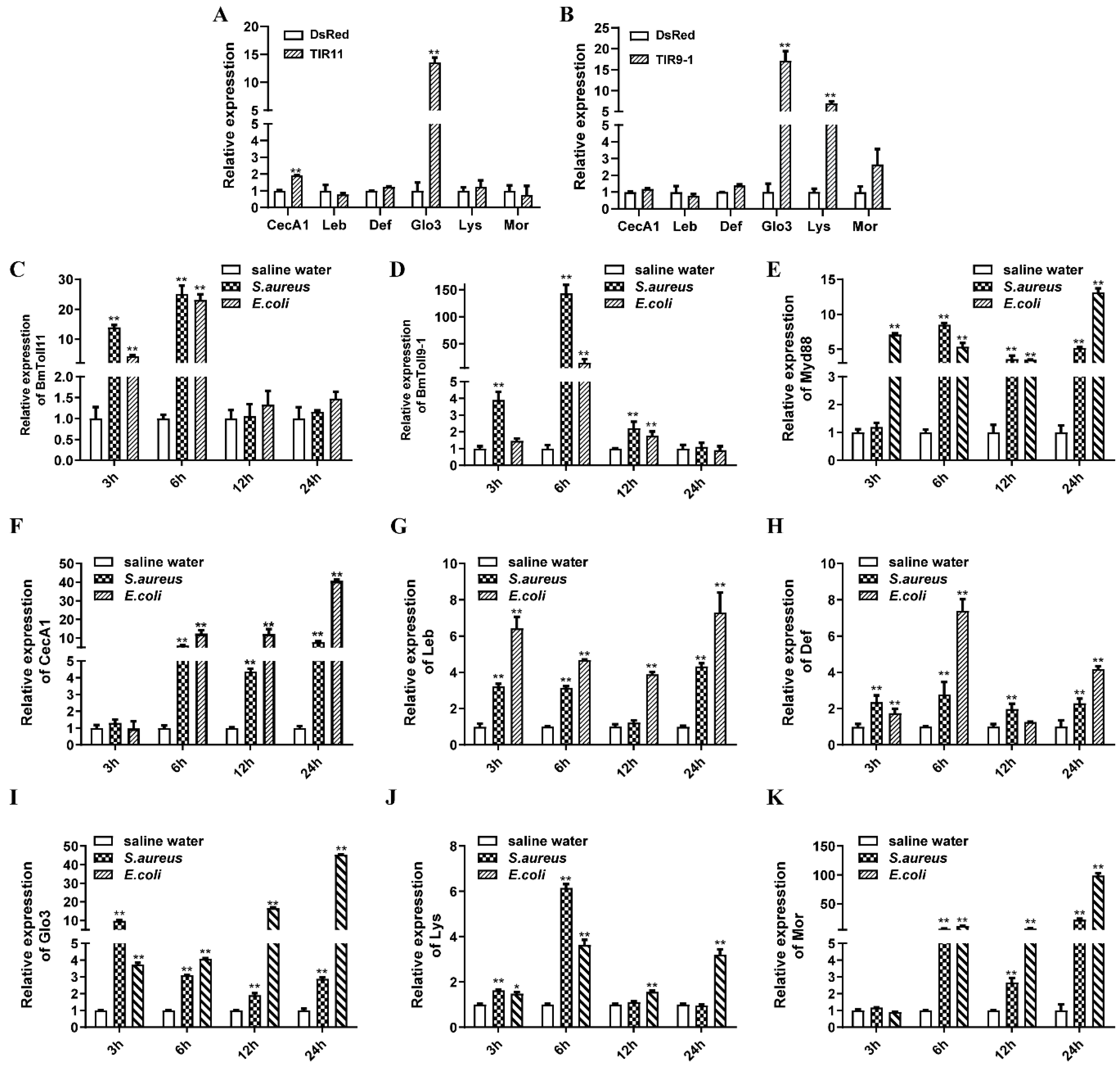 Insects 11 00586 g002