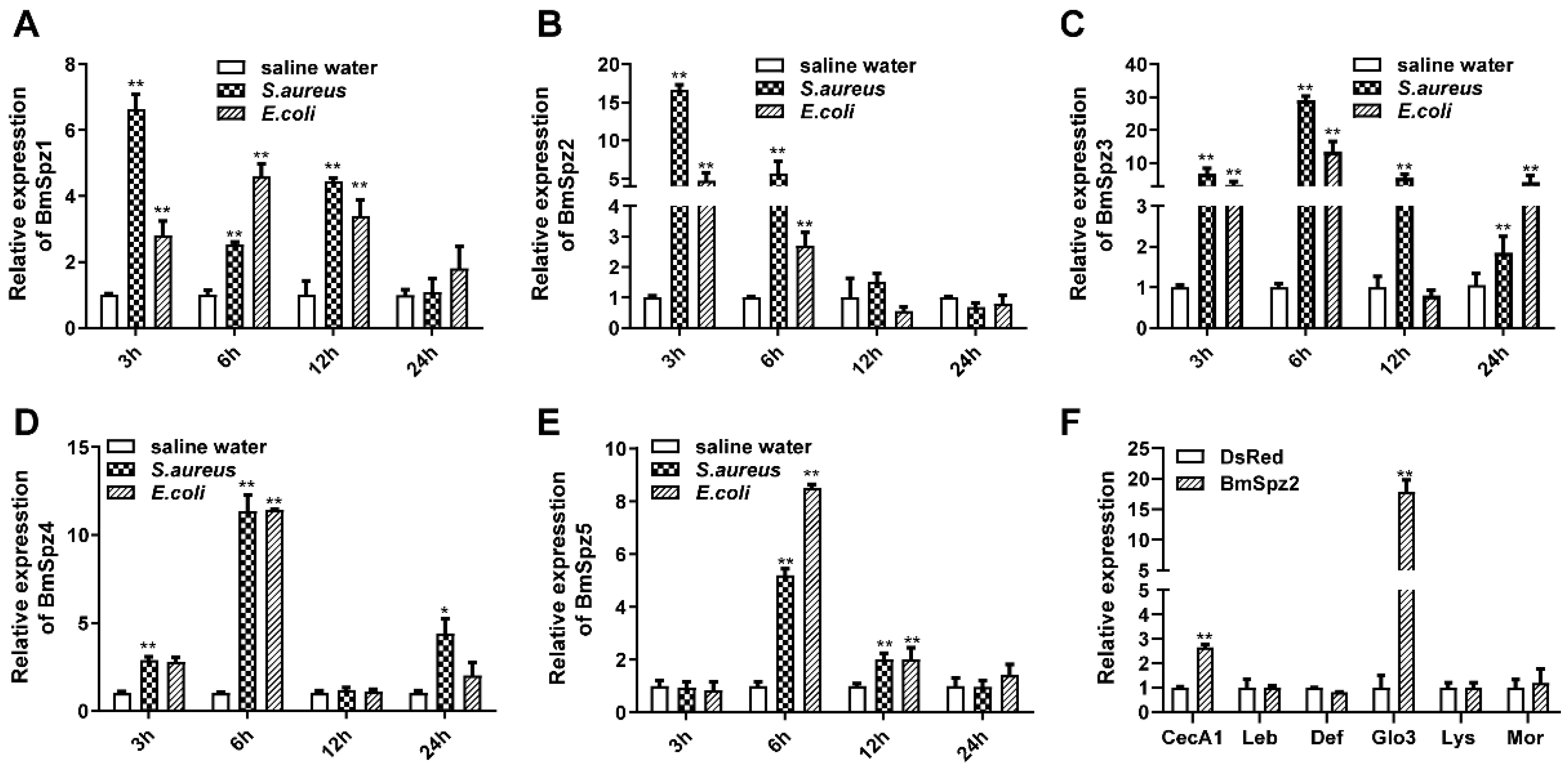 Insects 11 00586 g003