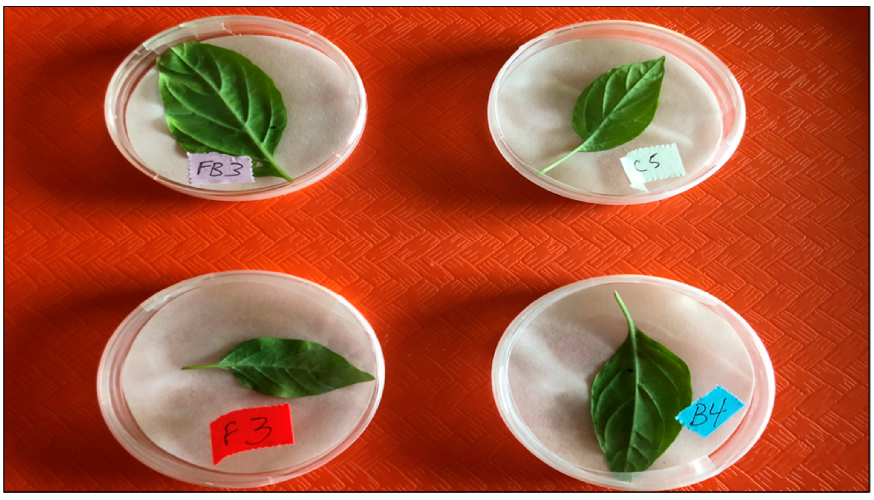 Insects 11 00590 g001