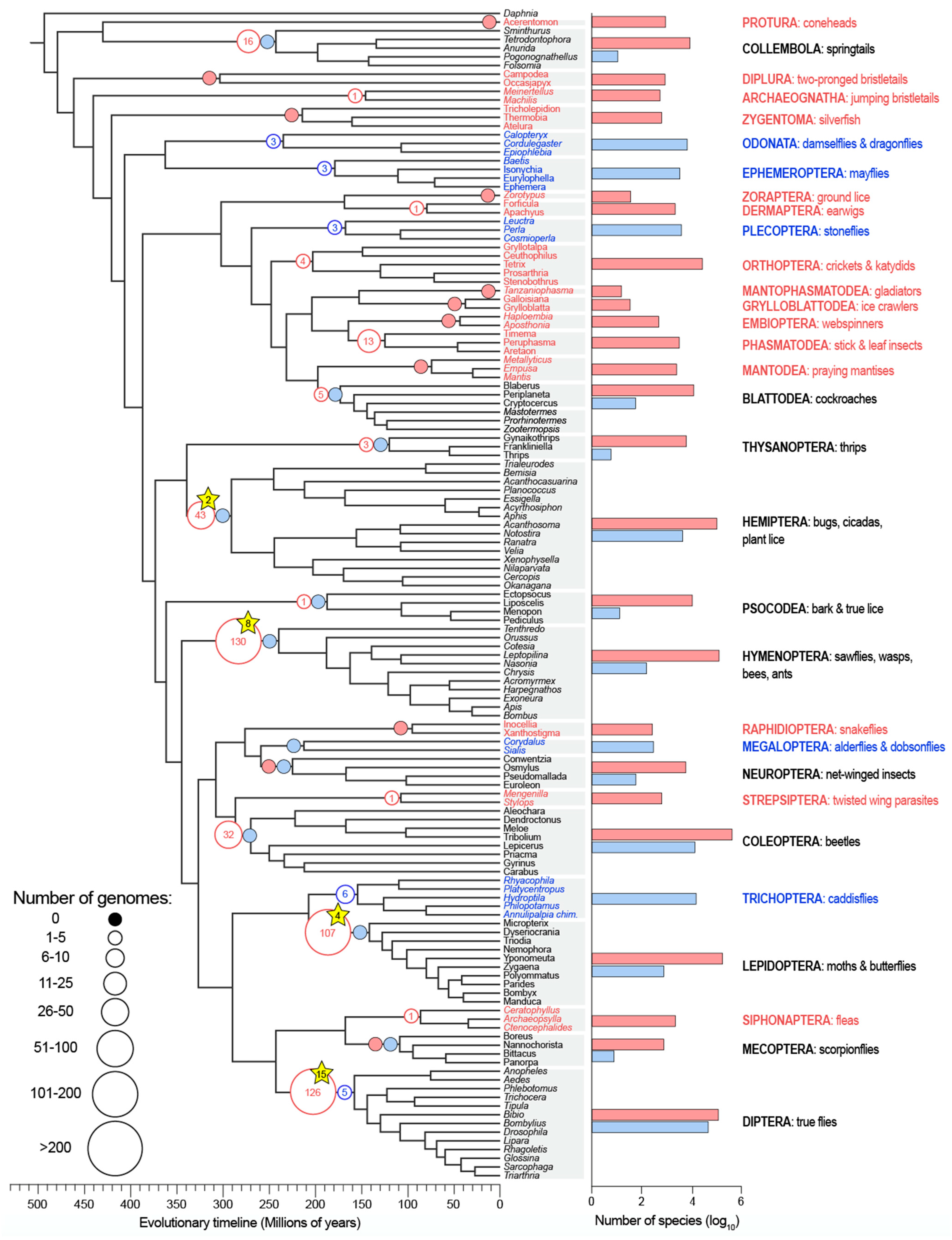 Insects 11 00601 g001 Insects 11 00601 g001