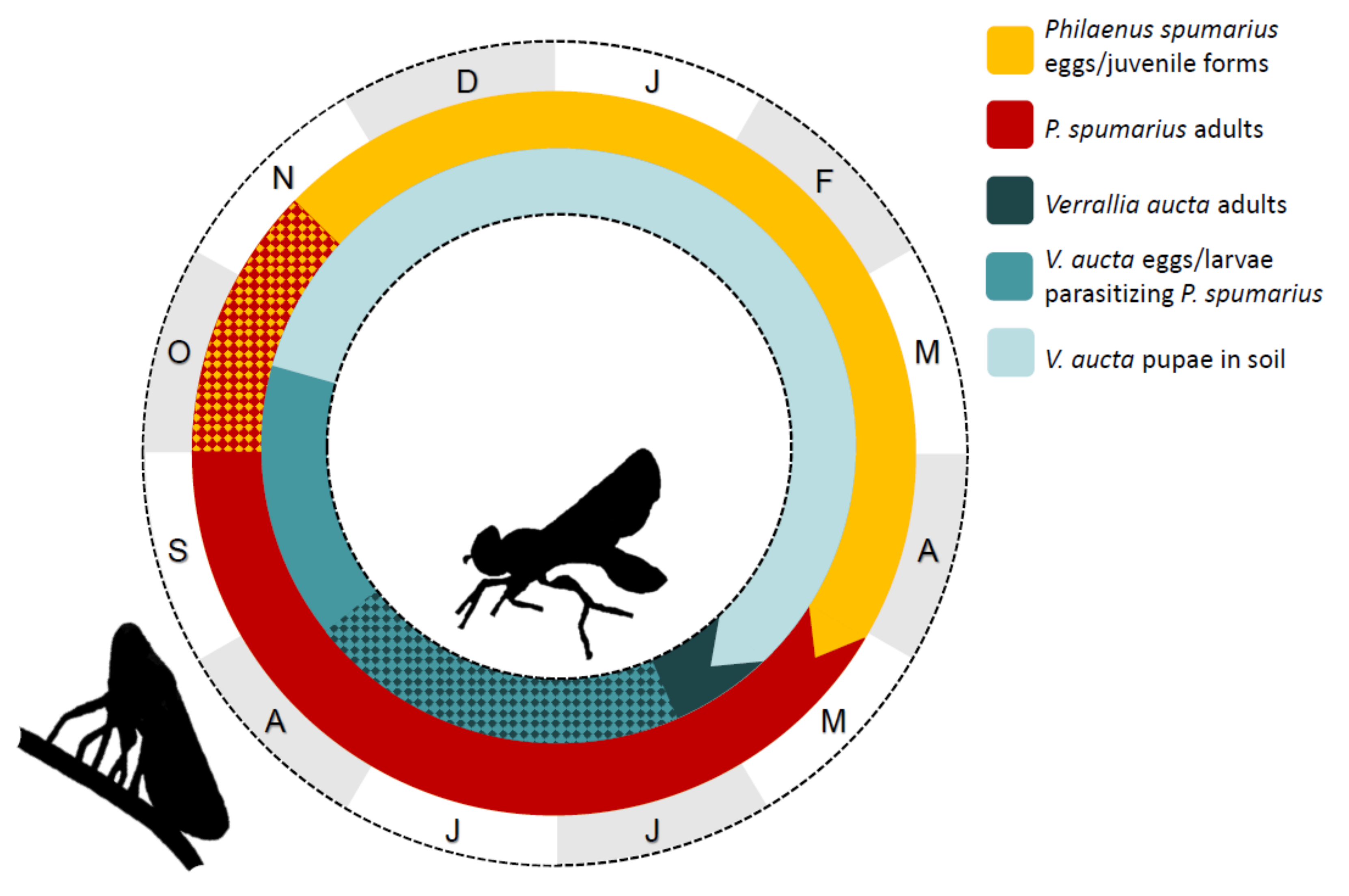 Insects 11 00607 g005