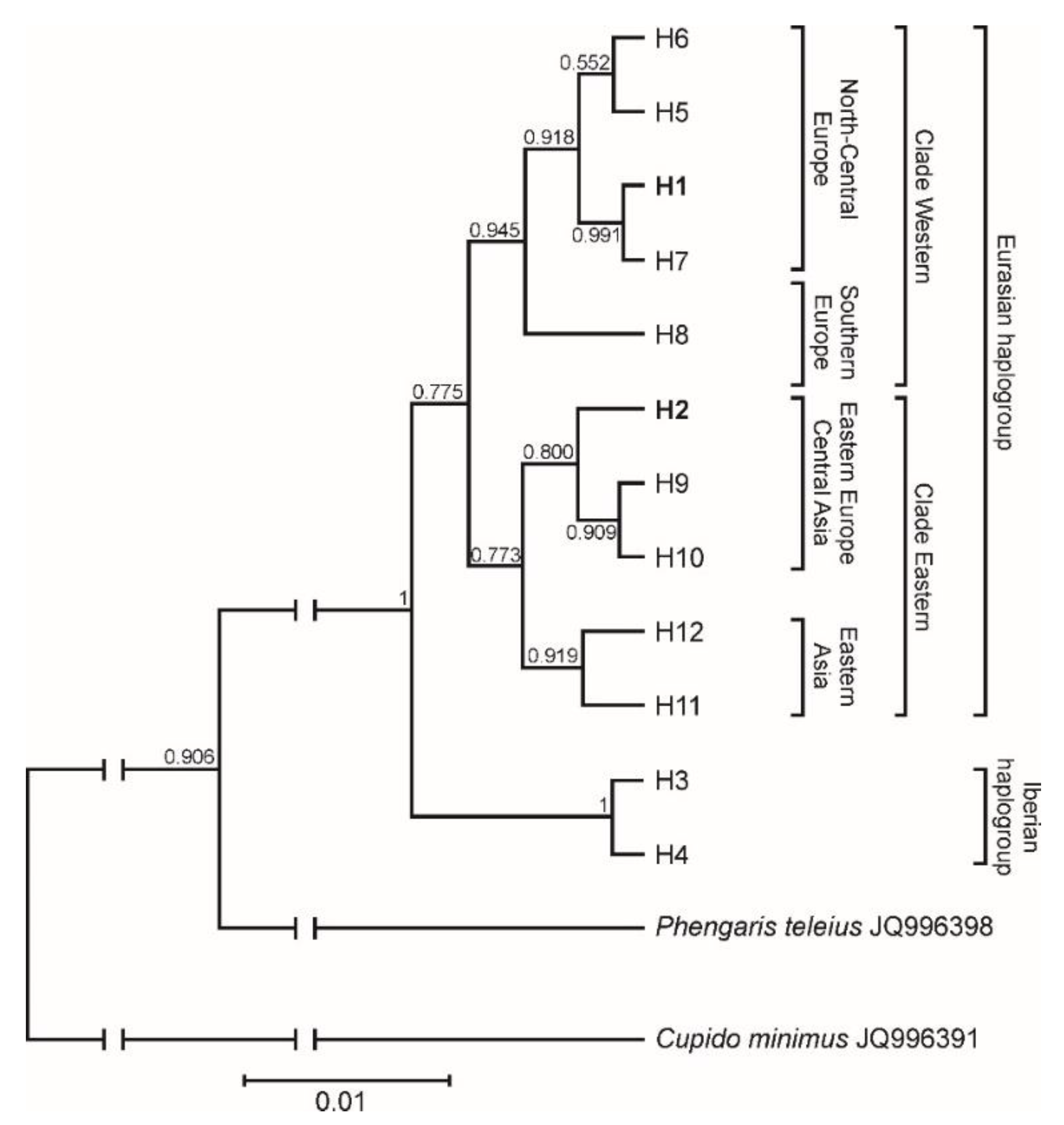 Insects 11 00608 g001
