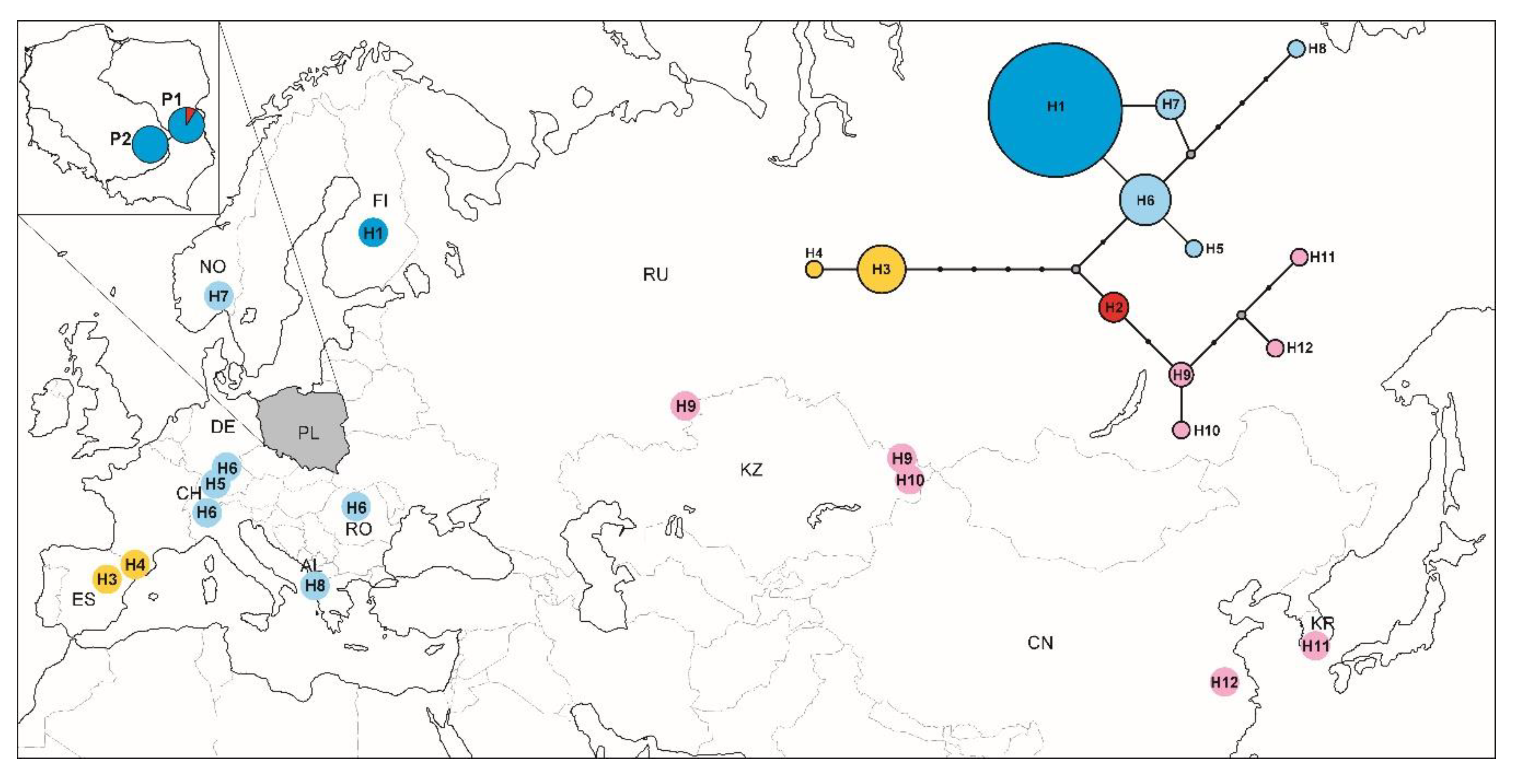 Insects 11 00608 g002