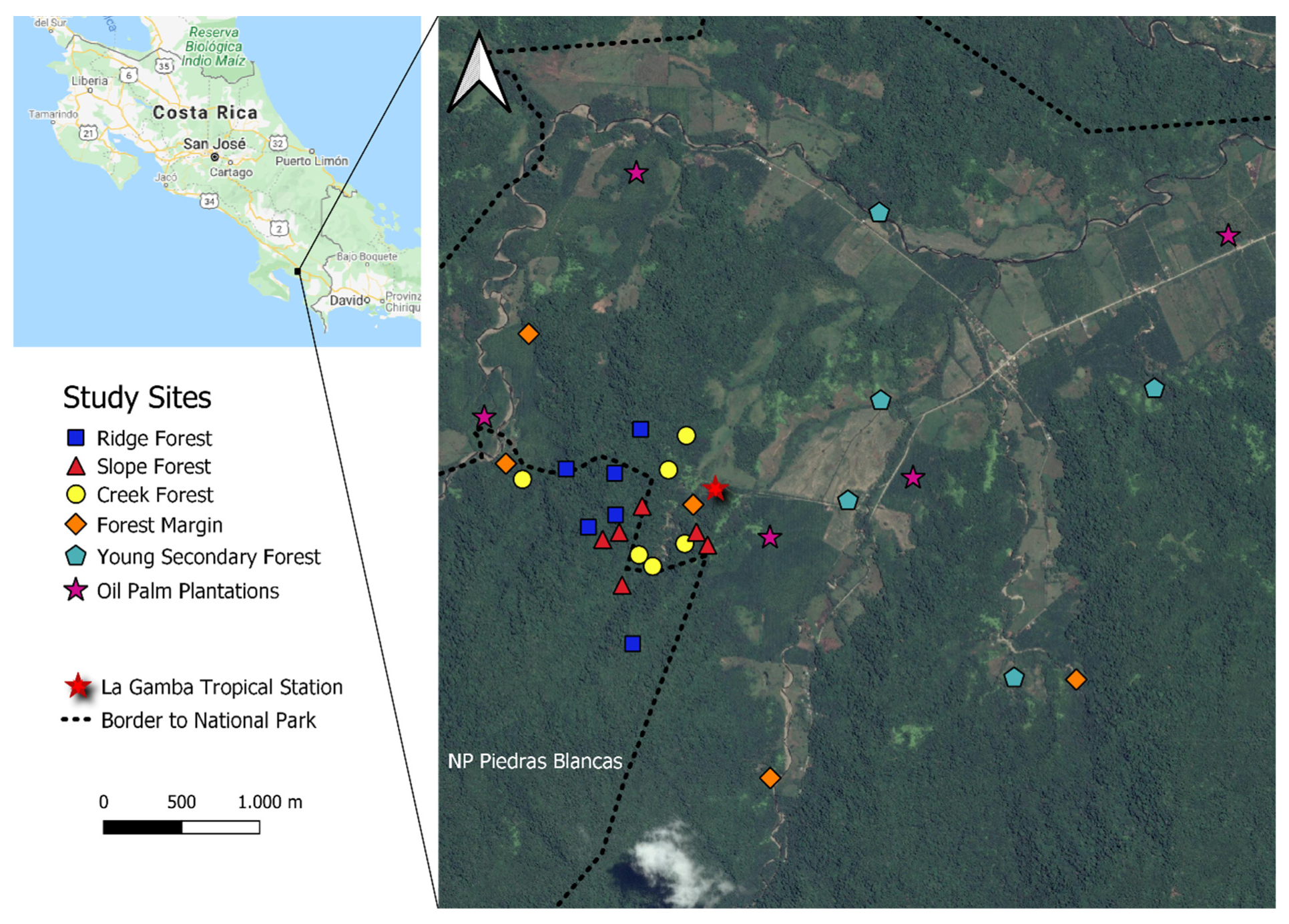 Insects 11 00612 g001 Insects 11 00612 g001