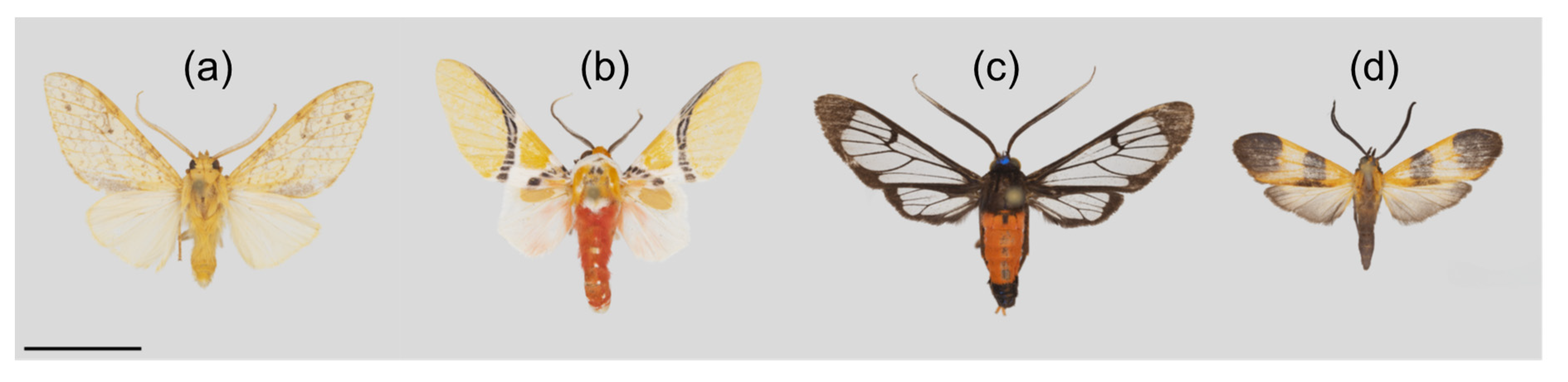 Insects 11 00612 g002 Insects 11 00612 g002