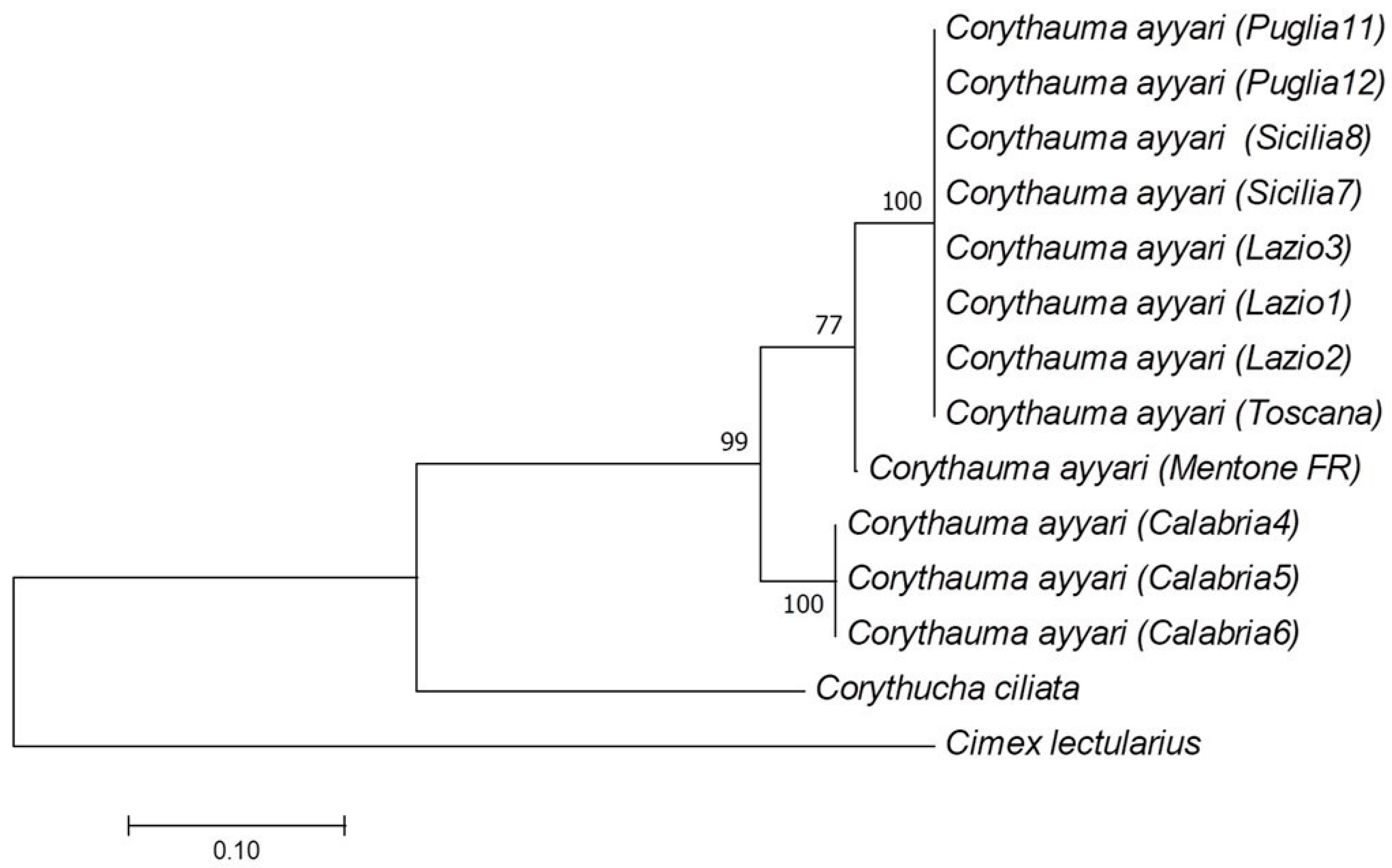 Insects 11 00620 g002