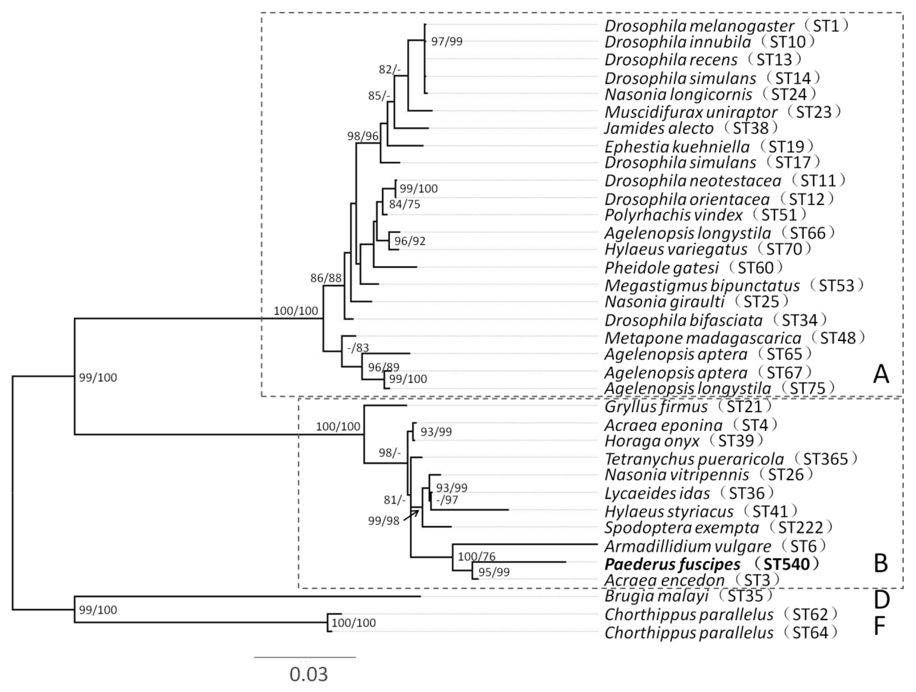 Insects 11 00625 g001