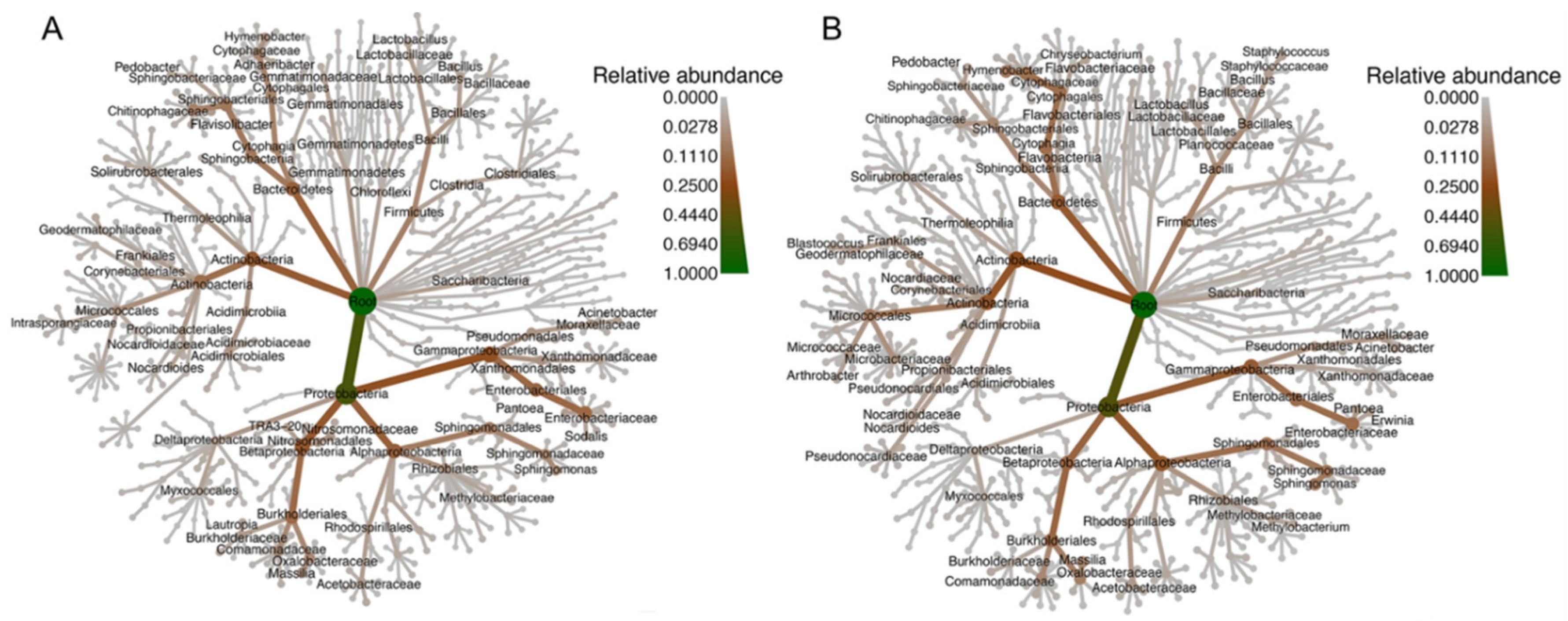 Insects 11 00645 g003