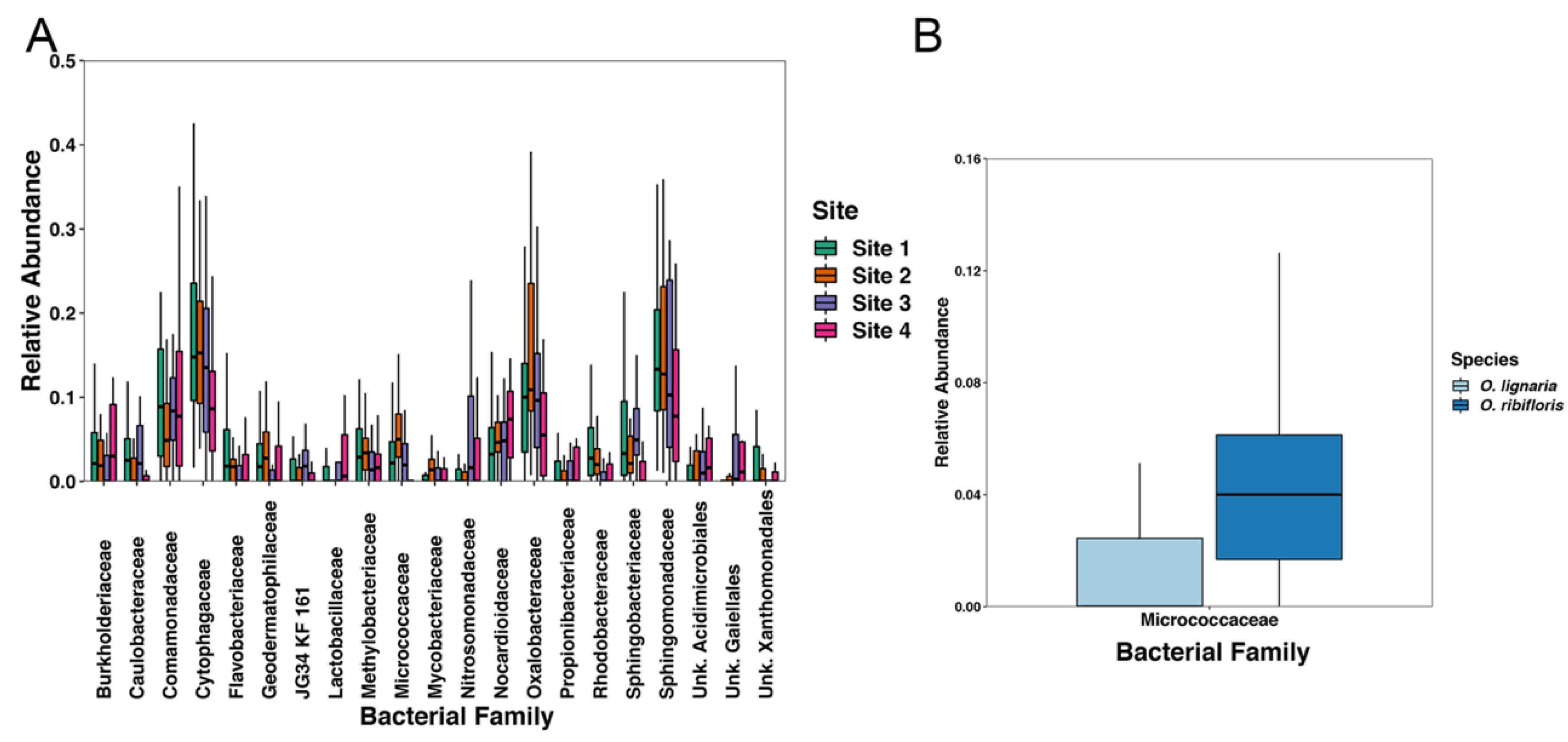 Insects 11 00645 g006