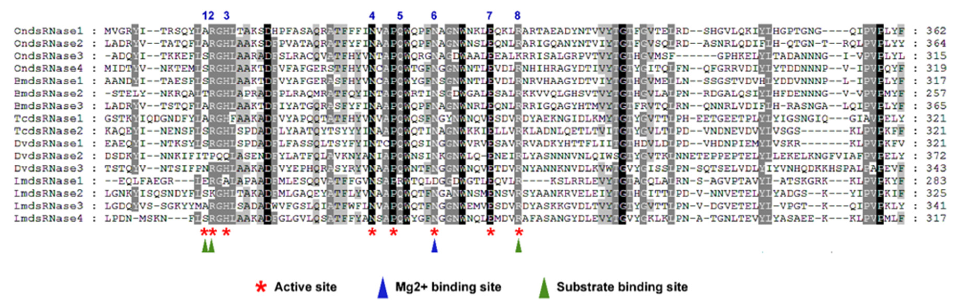 Insects 11 00652 g004