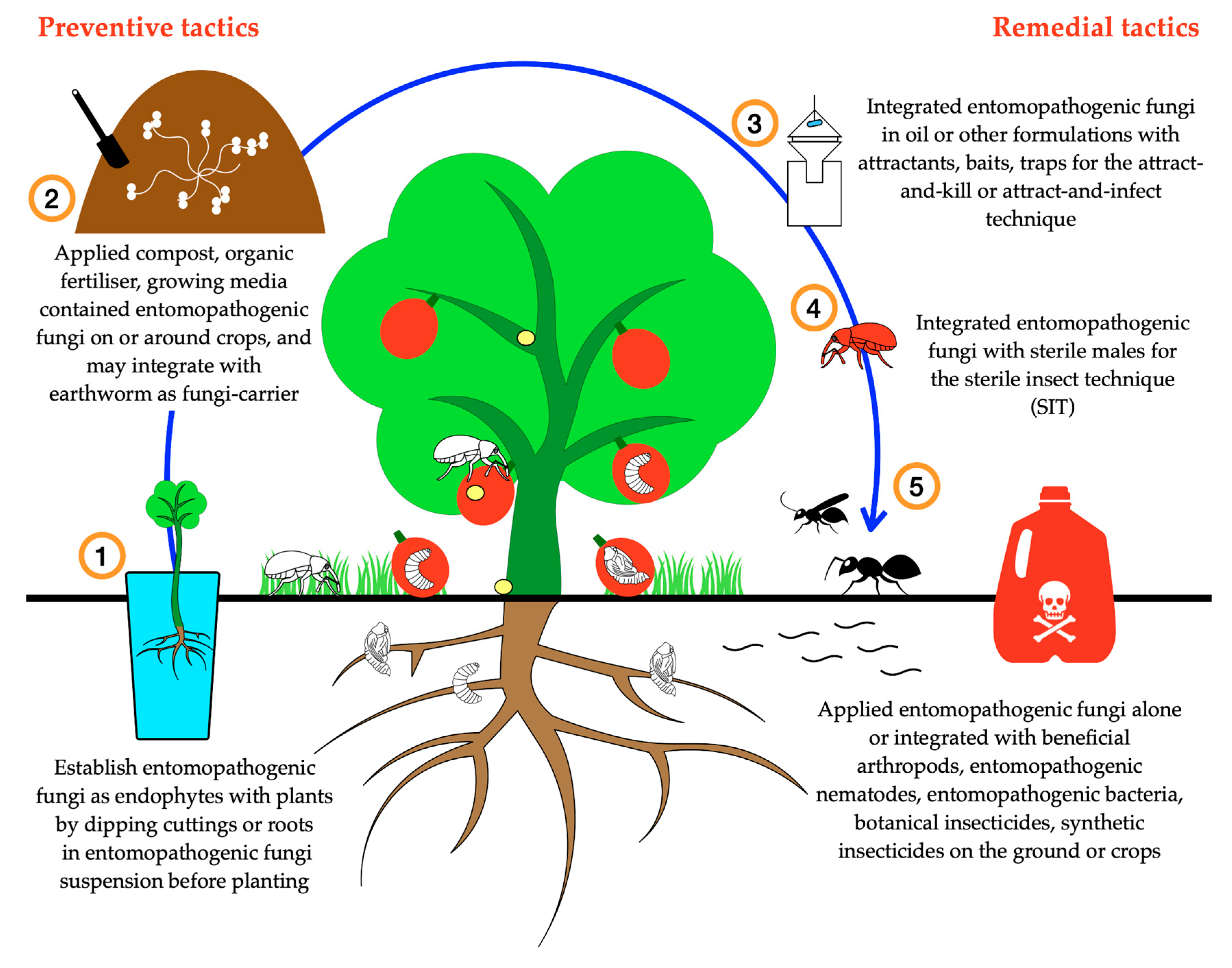 Insects 11 00659 g002 Insects 11 00659 g002