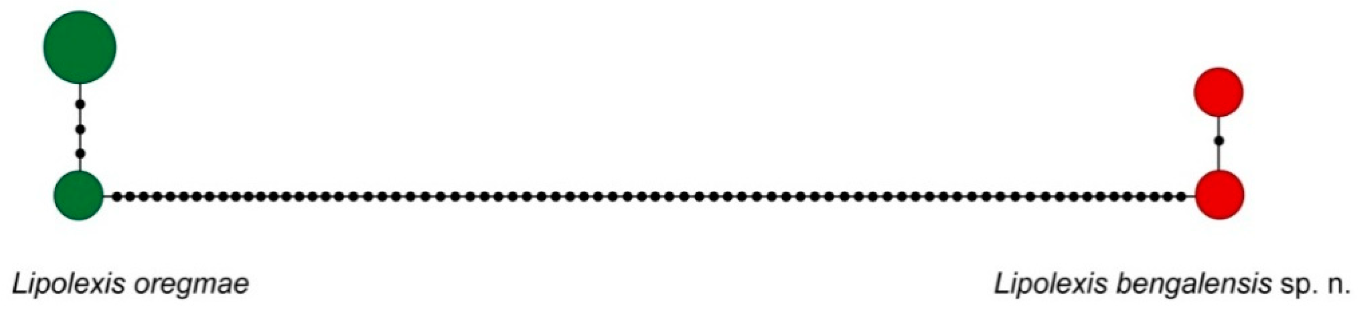 Insects 11 00667 g002 Insects 11 00667 g002