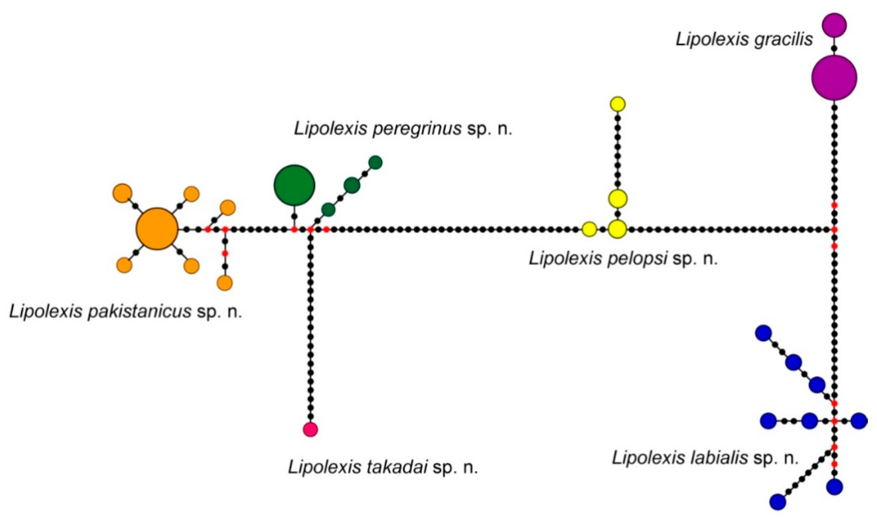 Insects 11 00667 g003 Insects 11 00667 g003