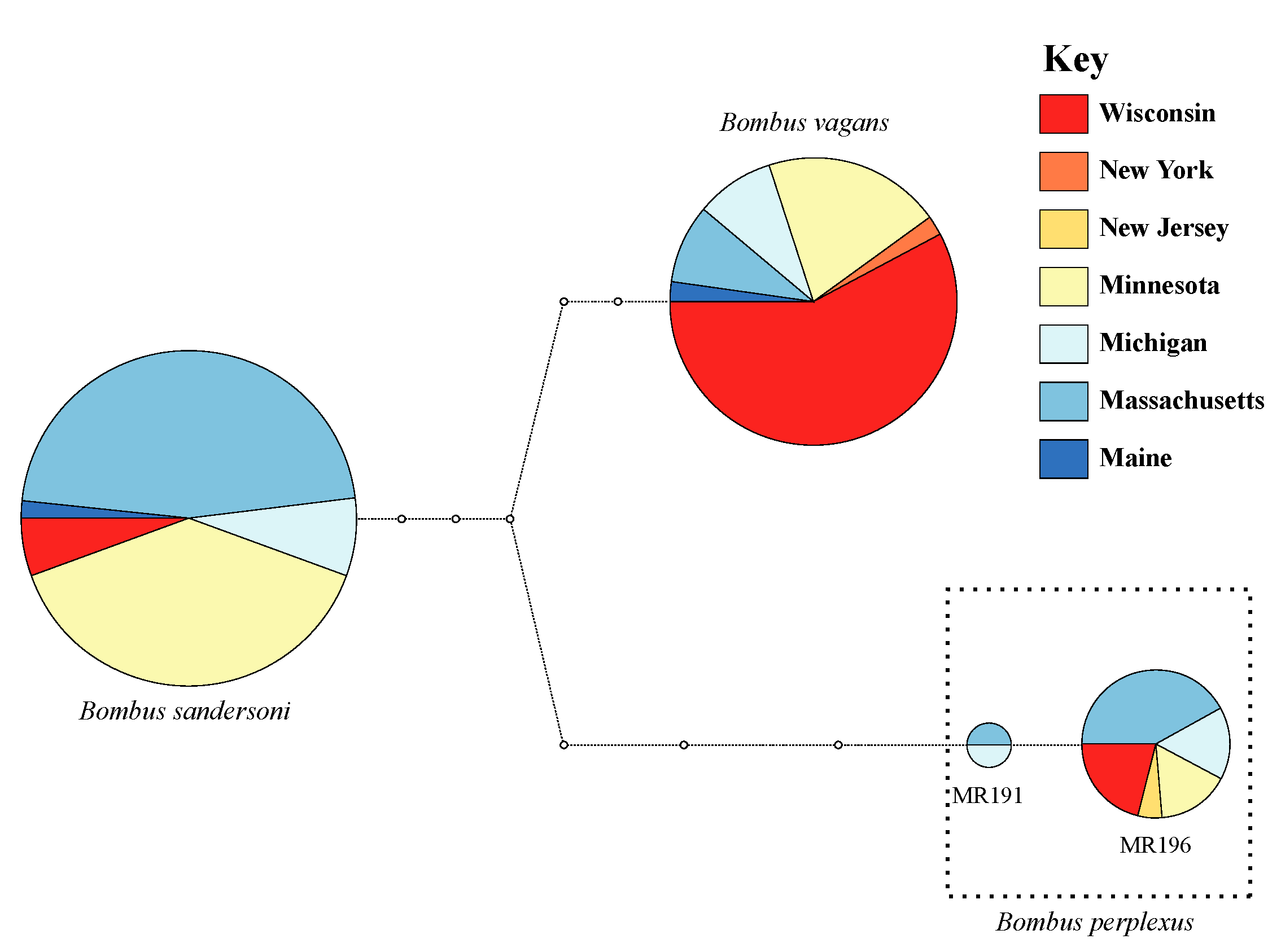 Insects 11 00669 g002