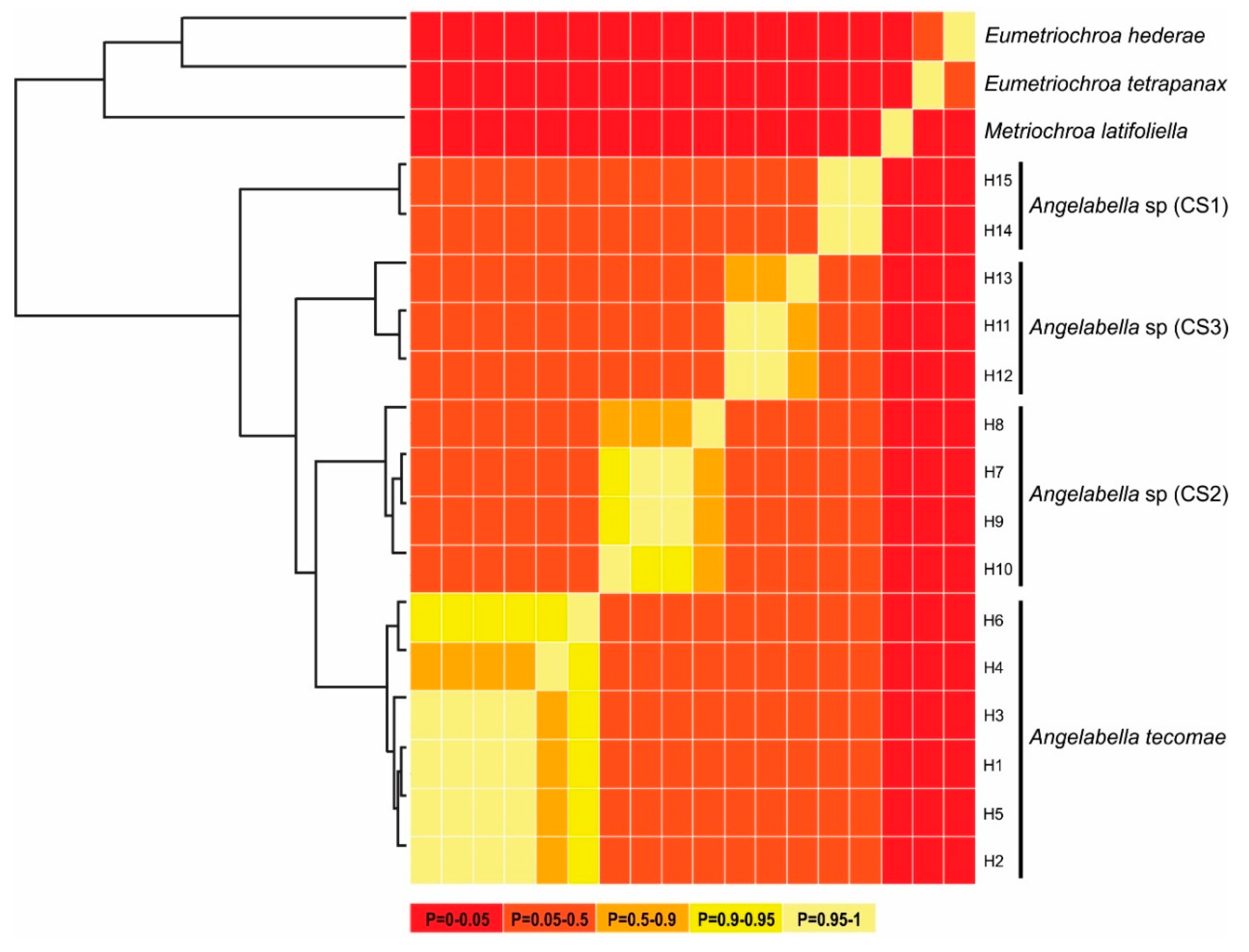 Insects 11 00677 g004