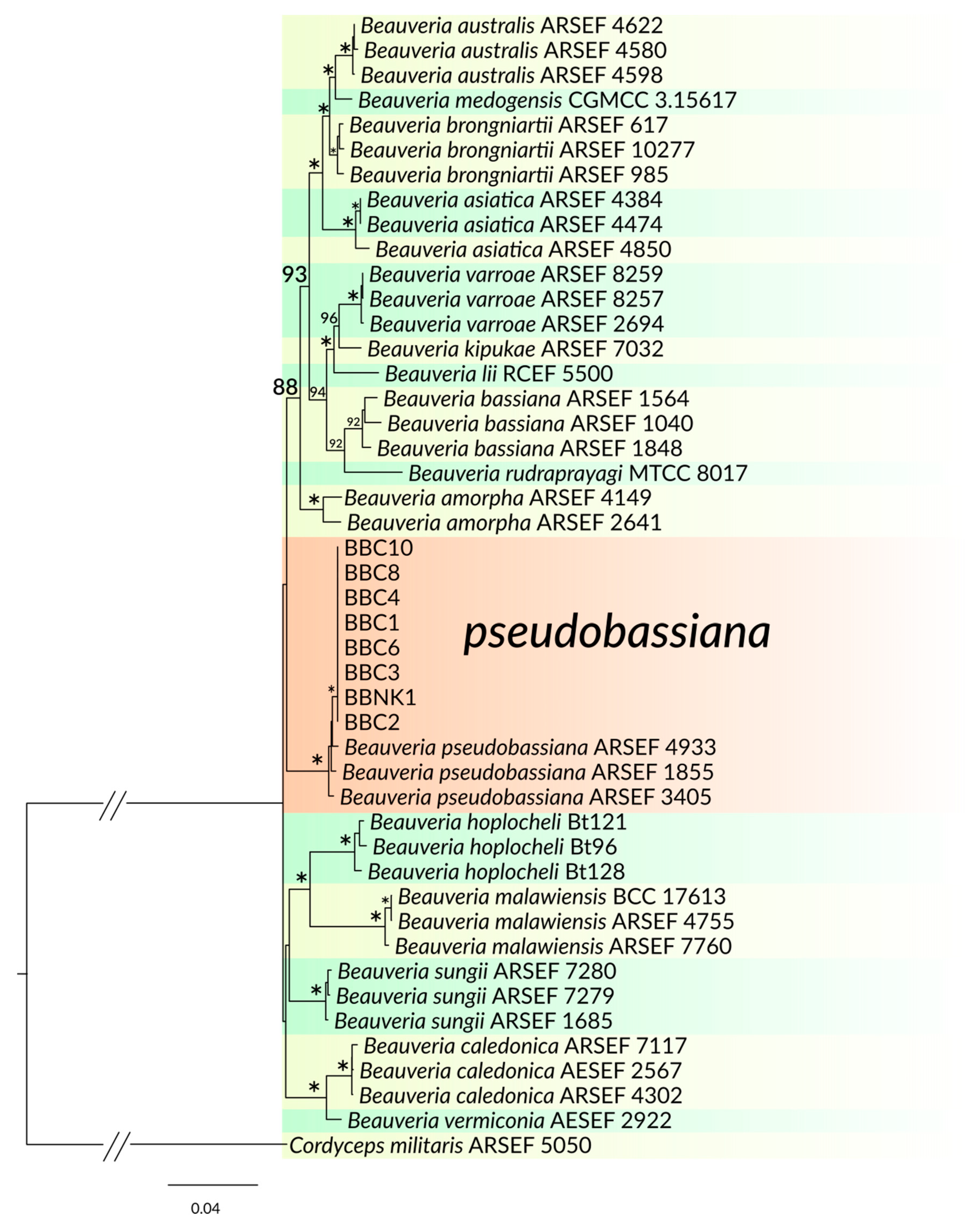 Insects 11 00679 g002 Insects 11 00679 g002