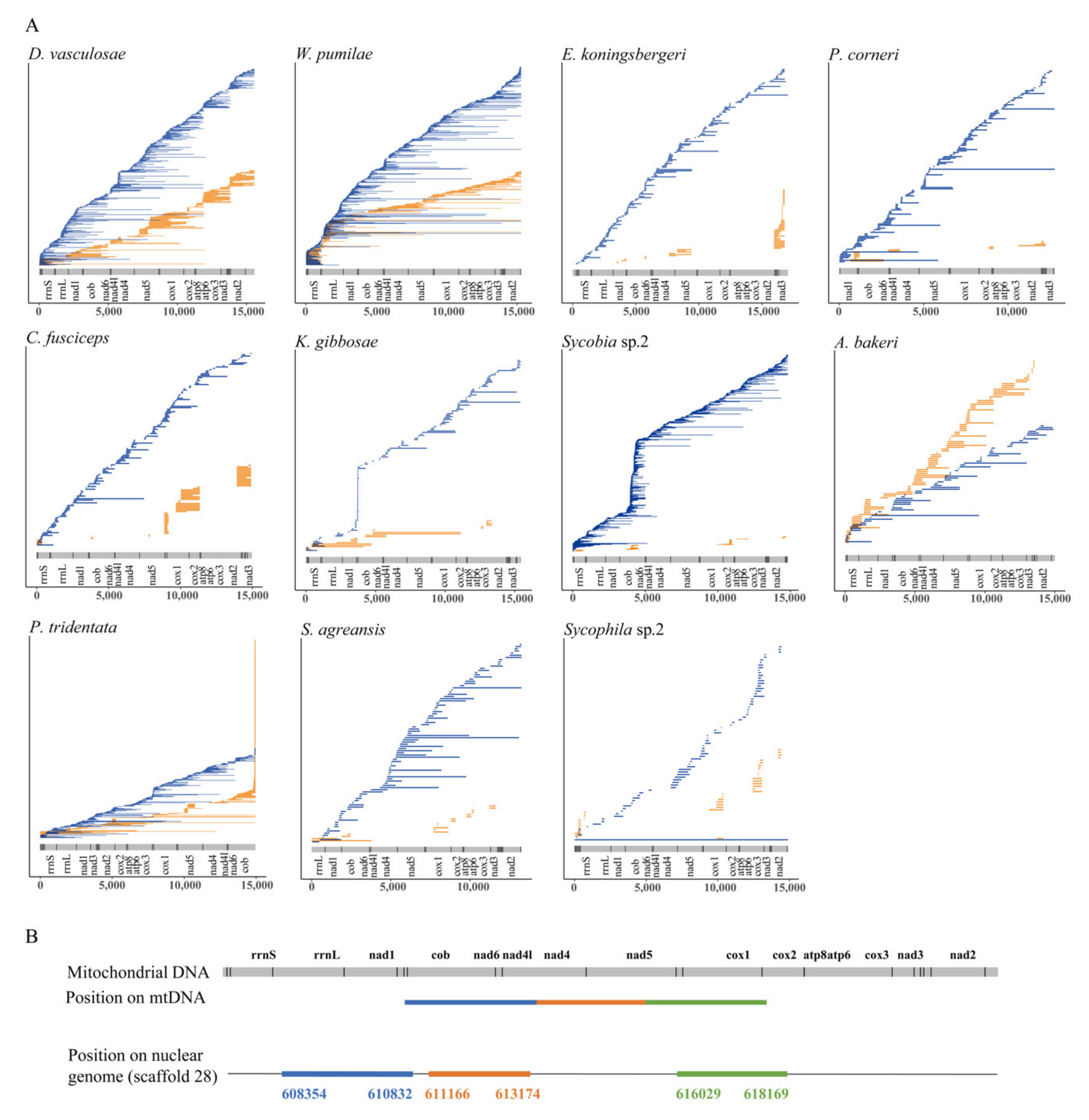 Insects 11 00680 g002 Insects 11 00680 g002