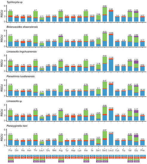 Insects Free Full Text Characterization Of The Complete Mitochondrial Genomes Of Two Species With Preliminary Investigation On Phylogenetic Status Of Zyginellini Hemiptera Cicadellidae Typhlocybinae Html Insects Free Full Text Characterization Of The Complete Mitochondrial Genomes Of Two Species With Preliminary Investigation On Phylogenetic Status Of Zyginellini Hemiptera Cicadellidae Typhlocybinae Html