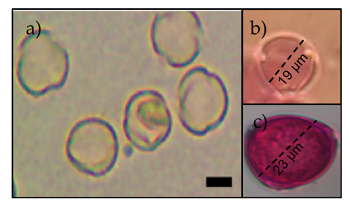 Insects 11 00685 g003 Insects 11 00685 g003