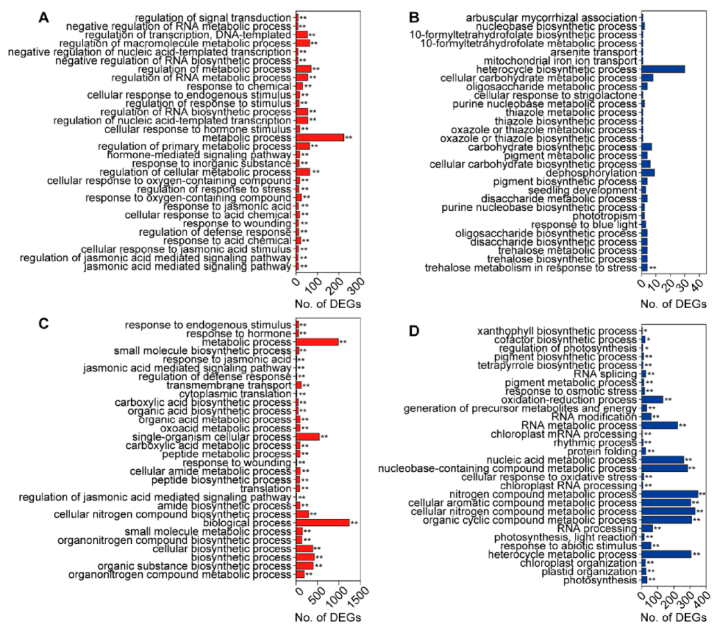 Insects 11 00705 g005