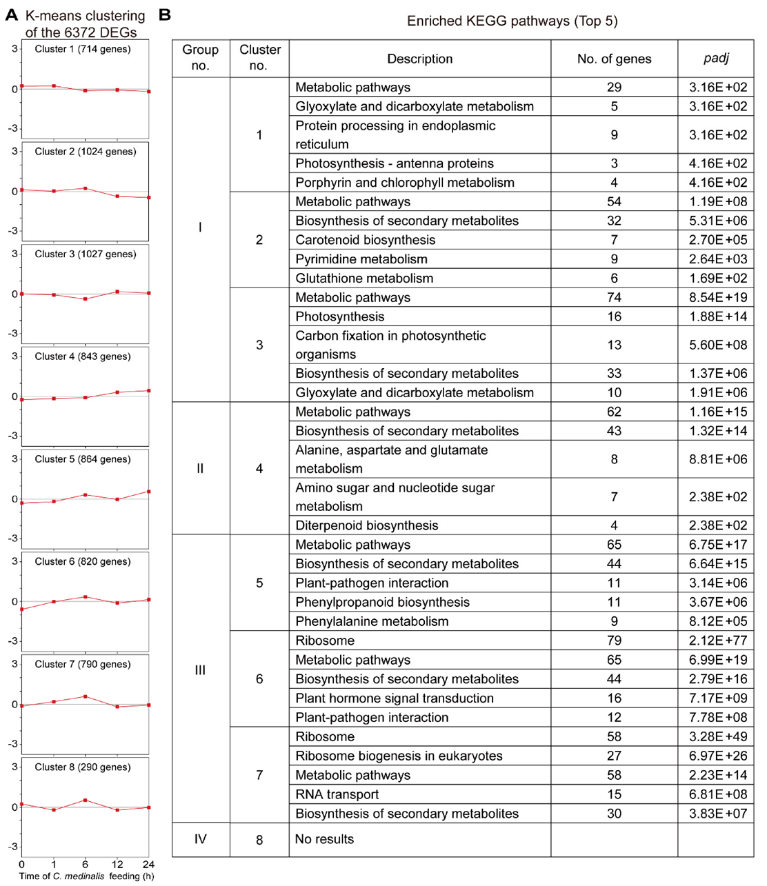 Insects 11 00705 g006