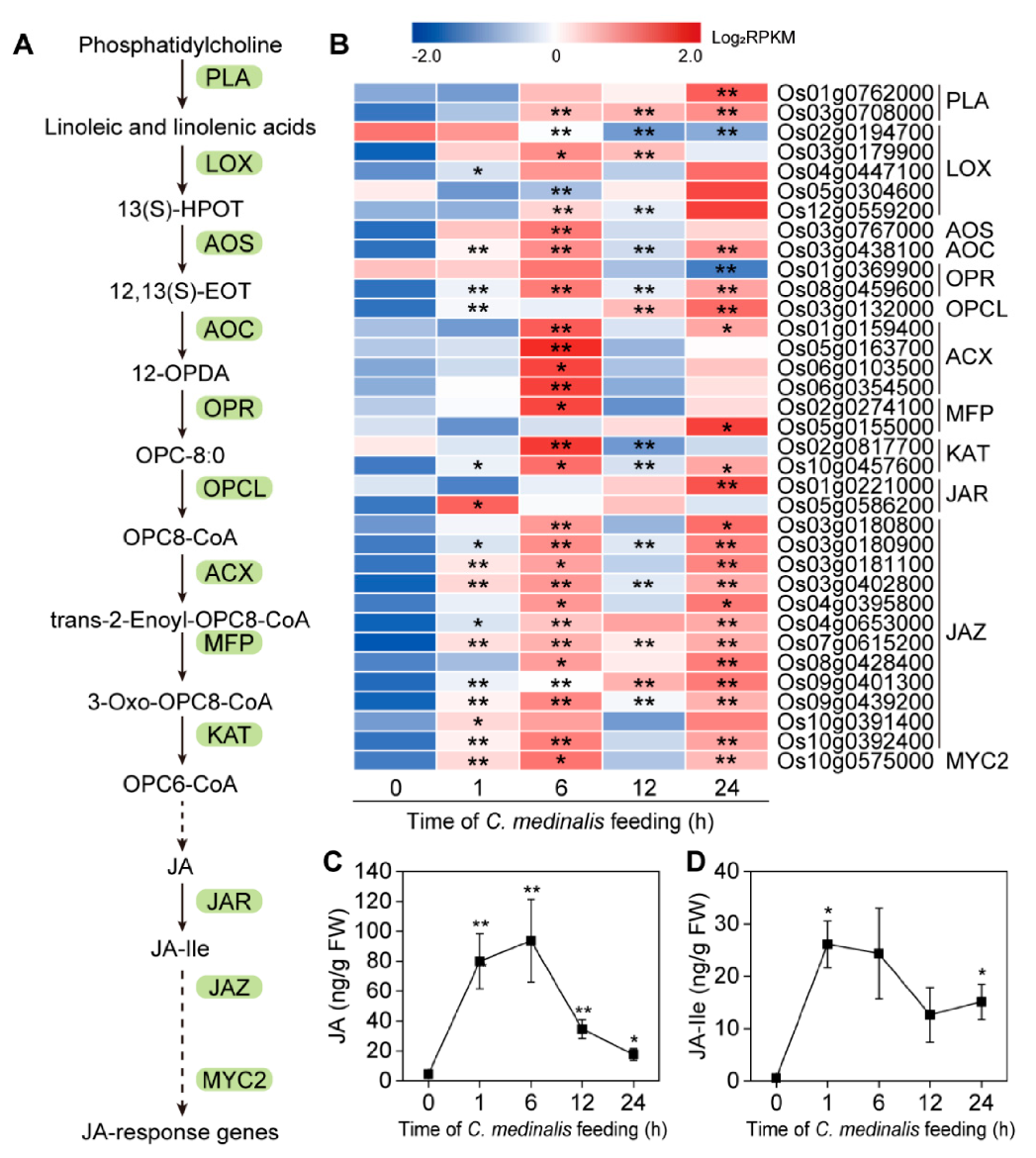 Insects 11 00705 g008