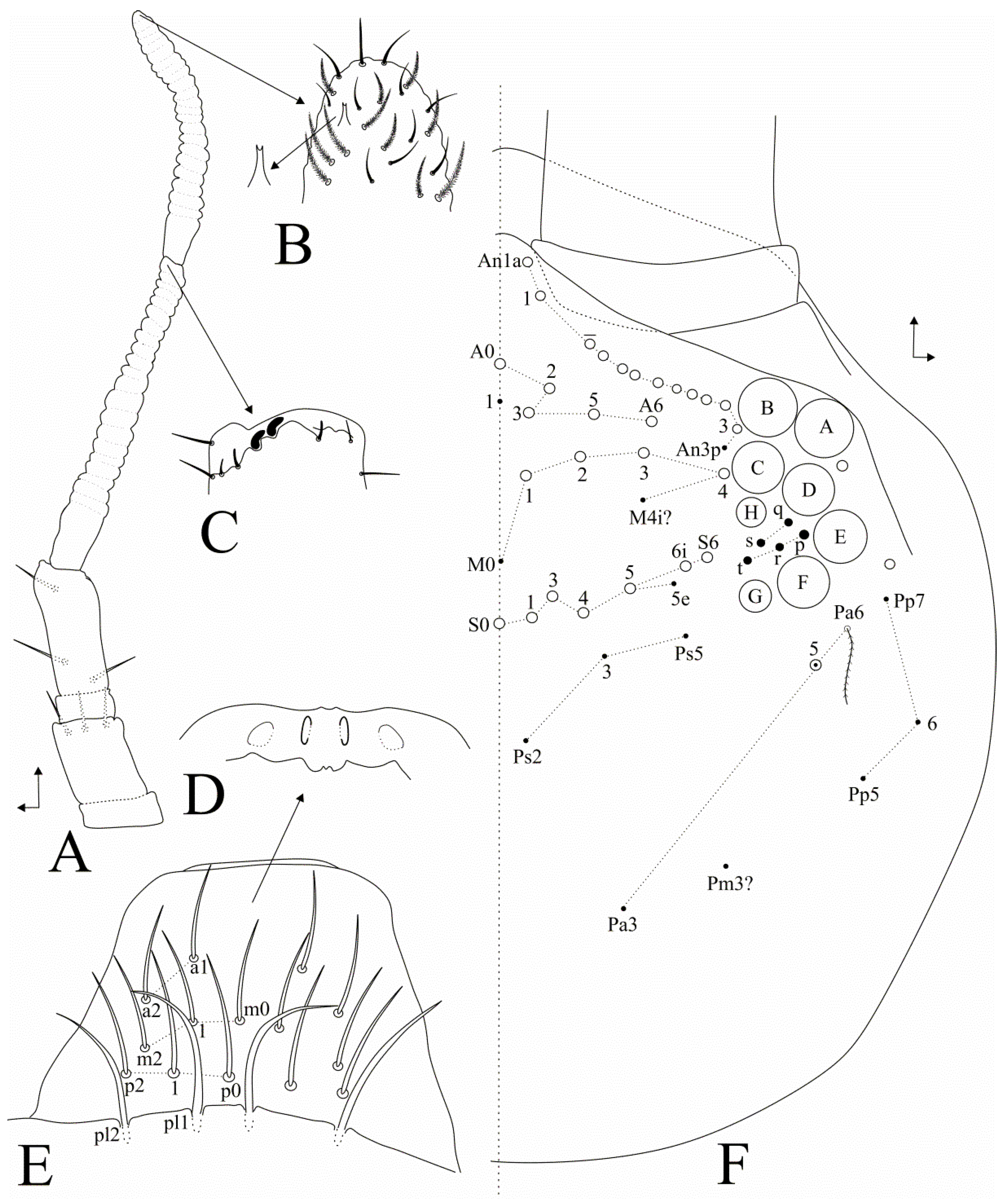 Insects 11 00709 g002 Insects 11 00709 g002