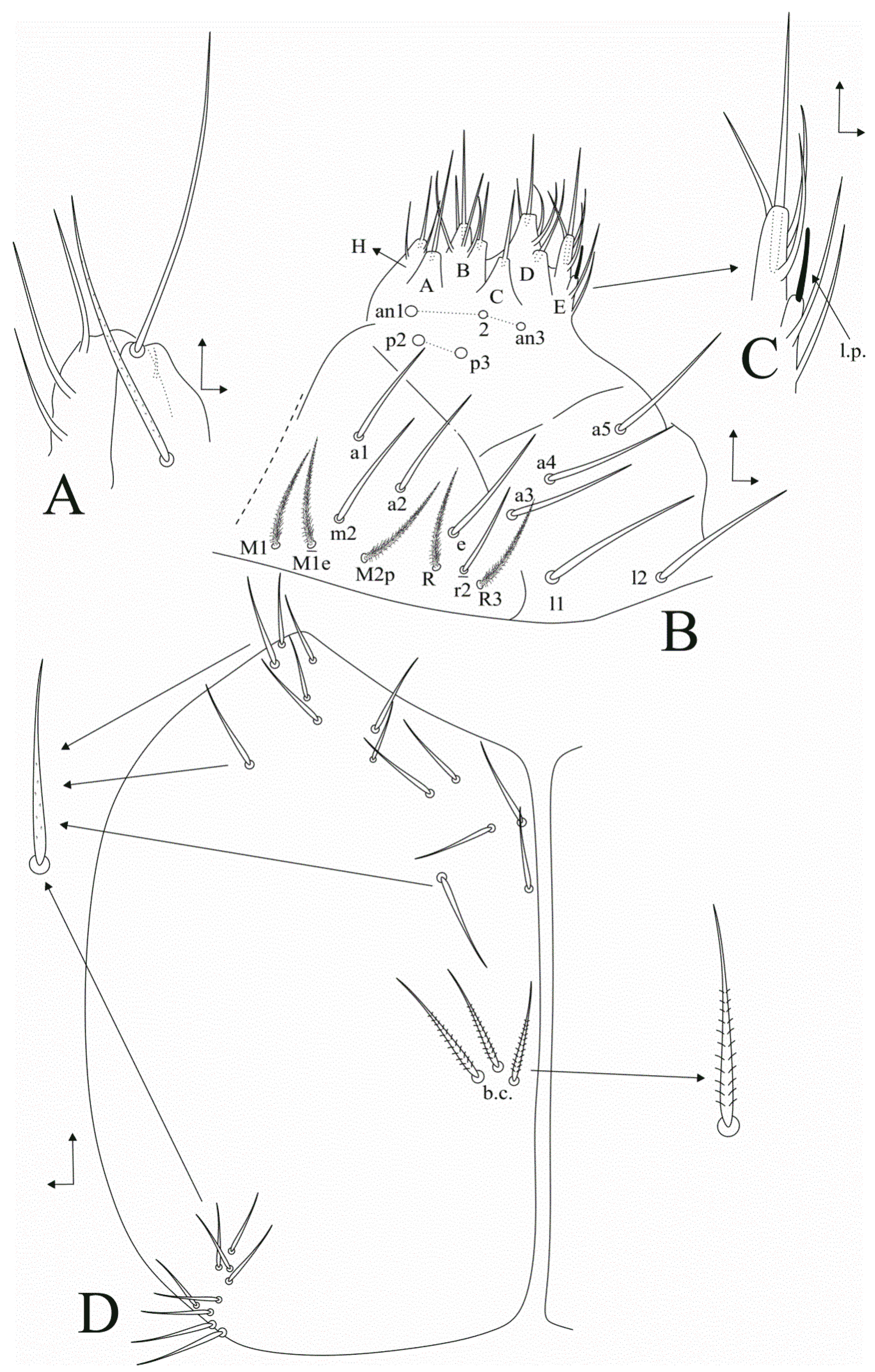 Insects 11 00709 g003 Insects 11 00709 g003