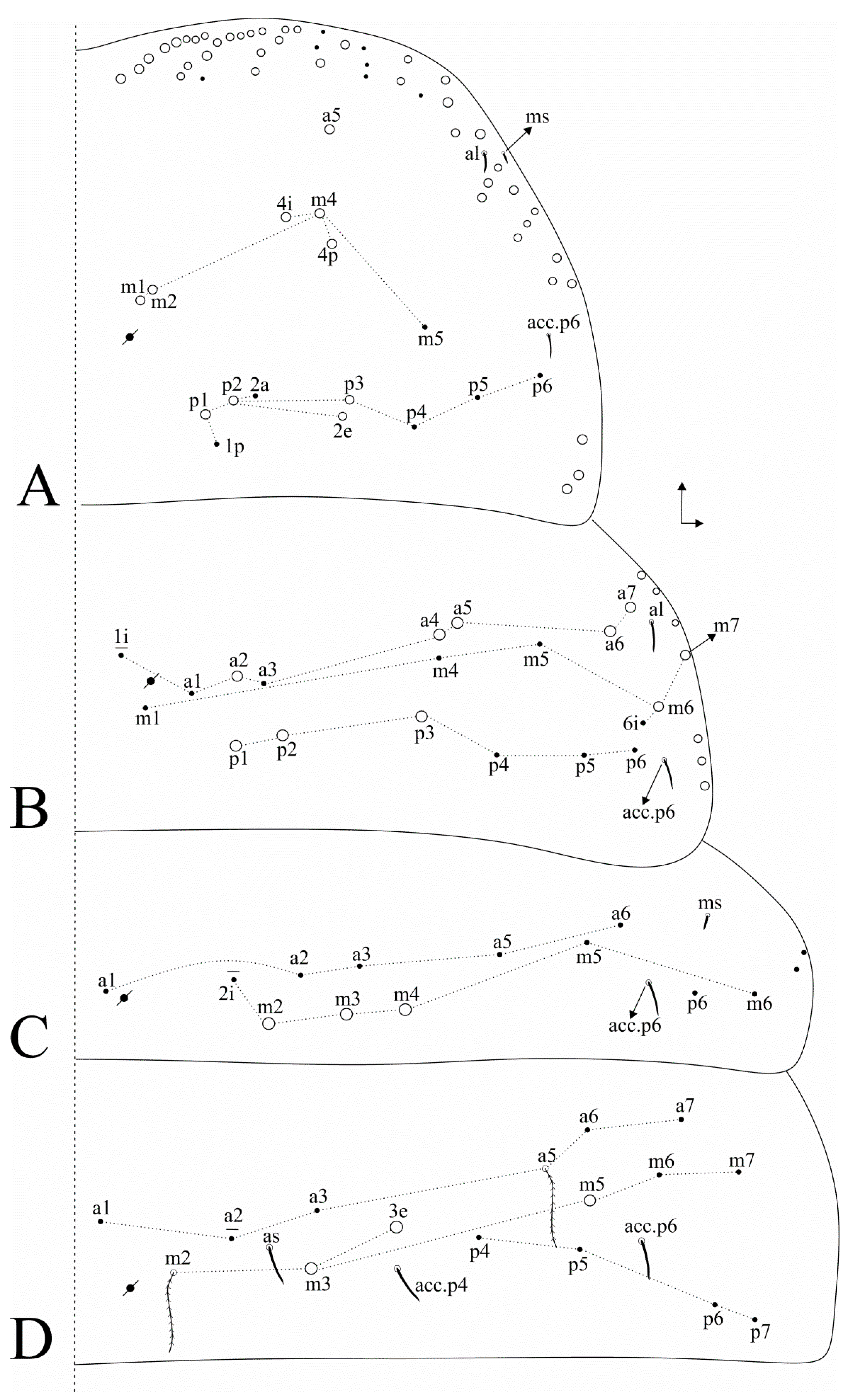 Insects 11 00709 g004 Insects 11 00709 g004