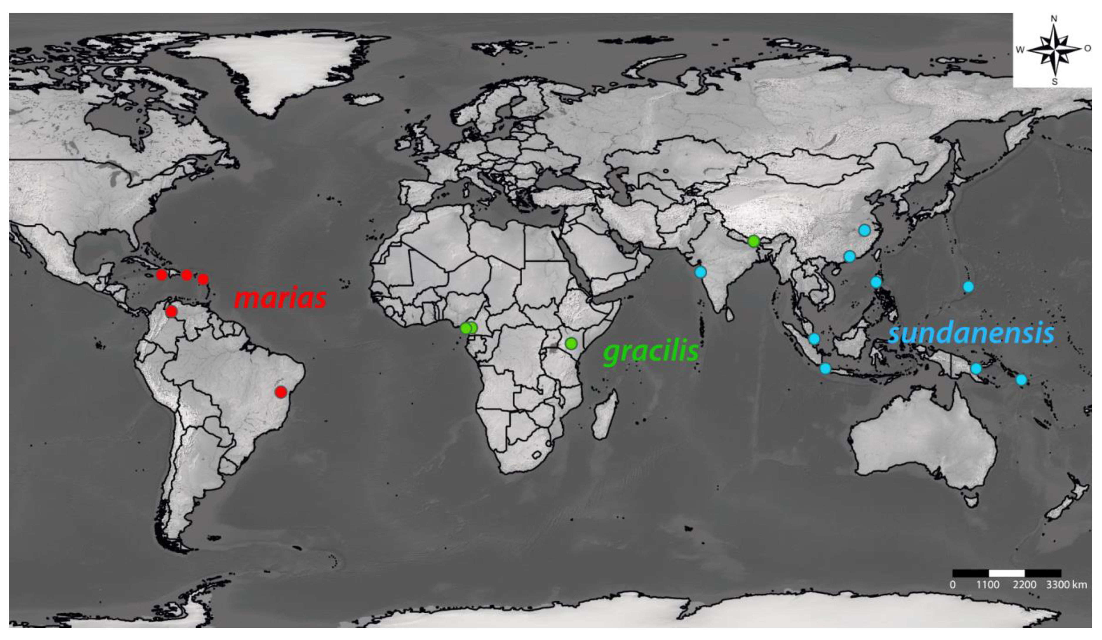 Insects 11 00709 g007 Insects 11 00709 g007