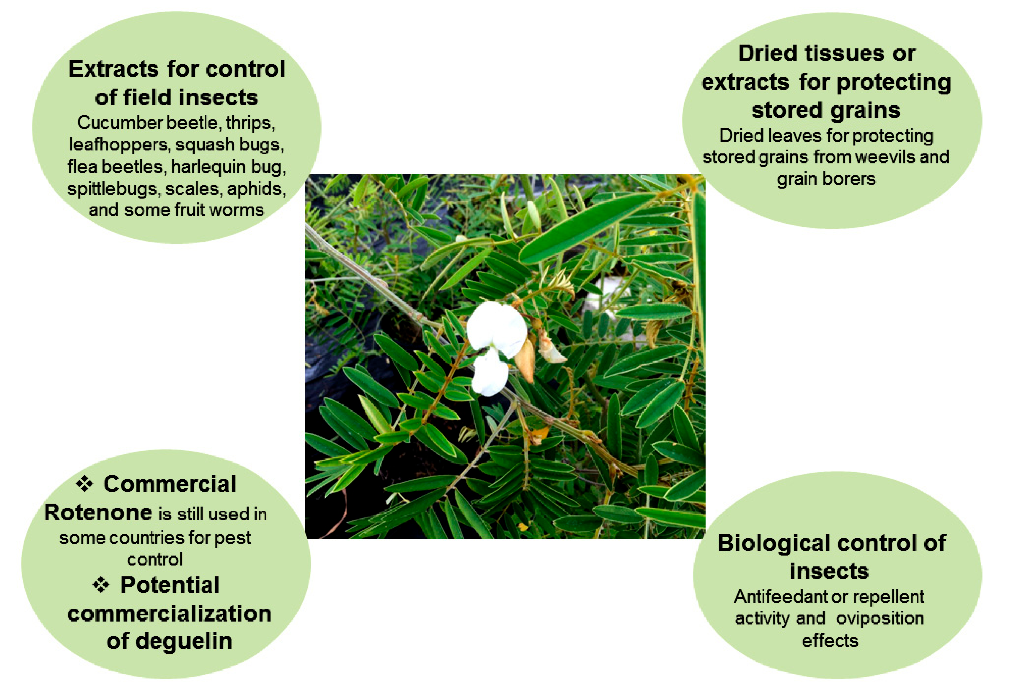 Insects 11 00721 g002 Insects 11 00721 g002