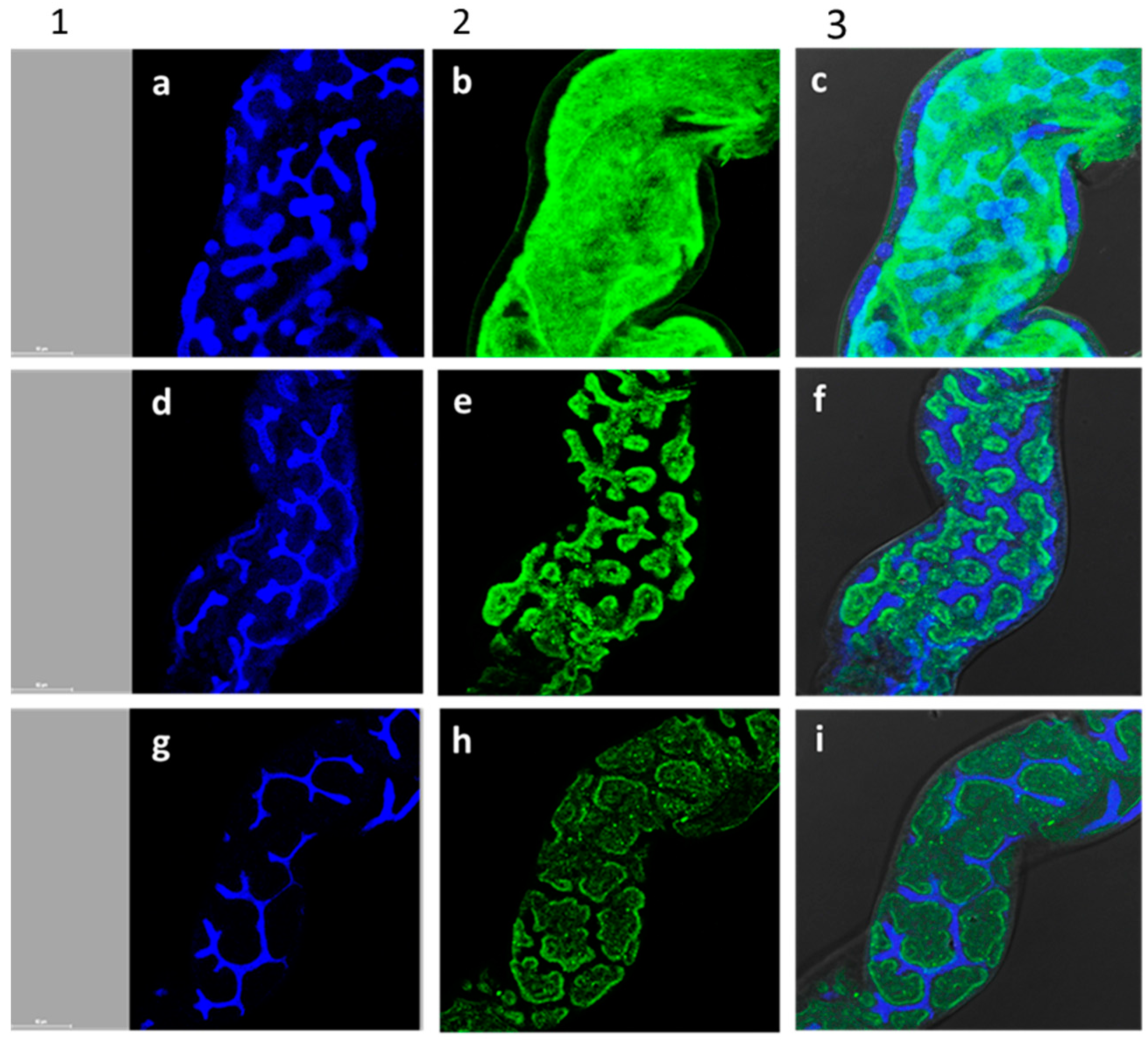 Insects 11 00726 g006