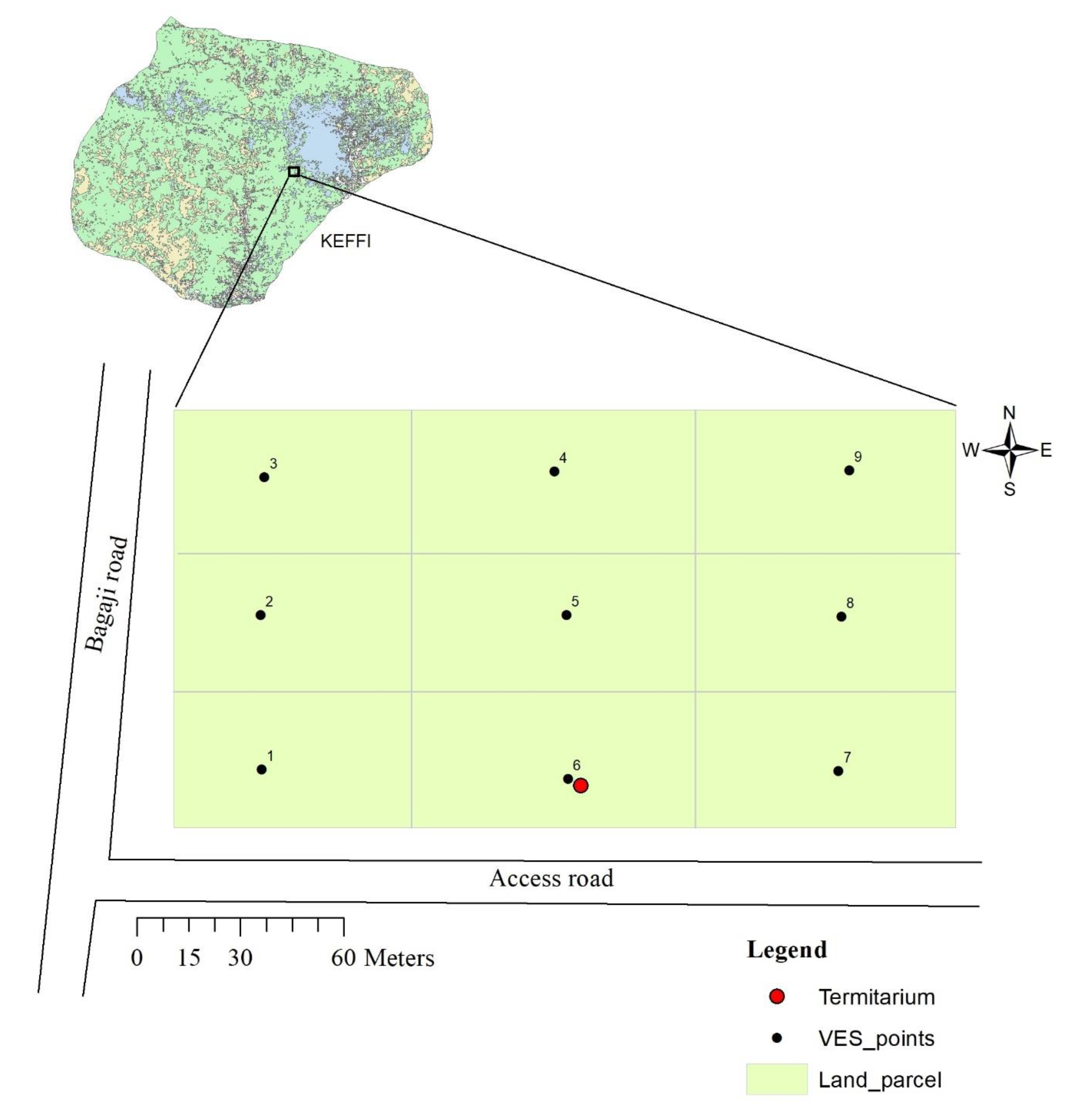 Insects 11 00728 g001