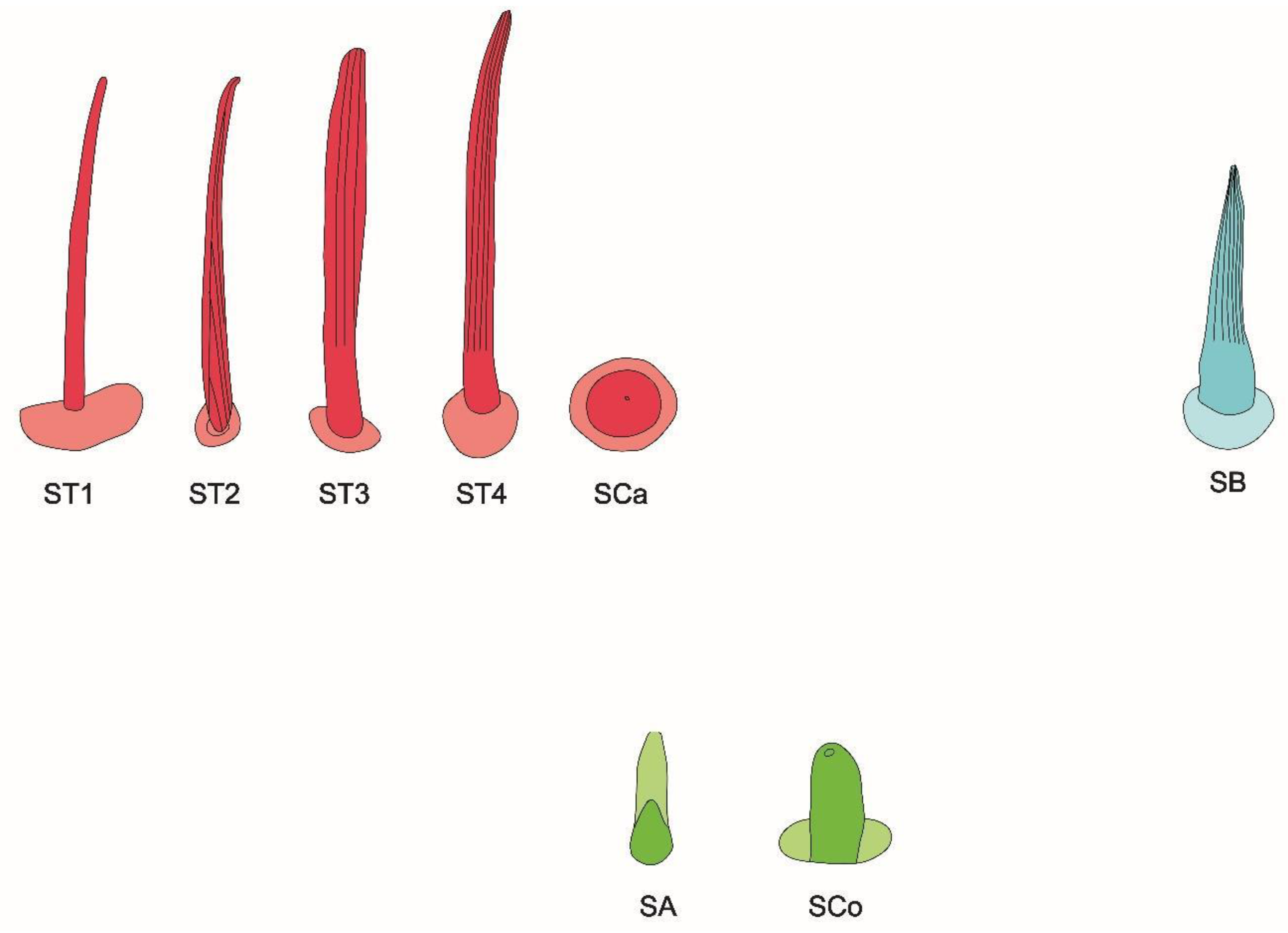 Insects 11 00734 g004 Insects 11 00734 g004